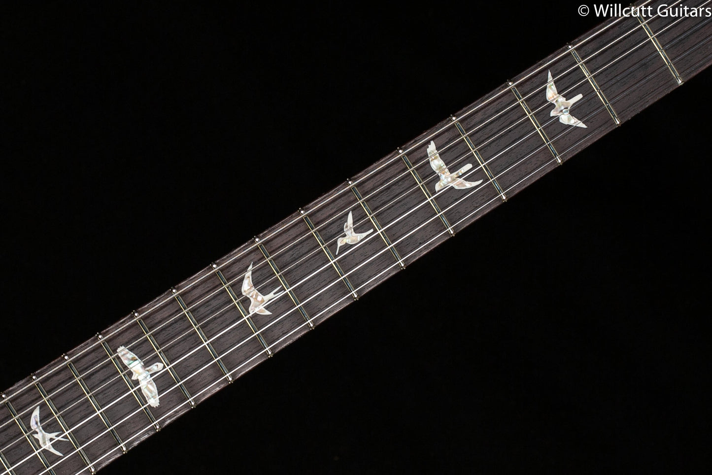 PRS DGT Black Birds