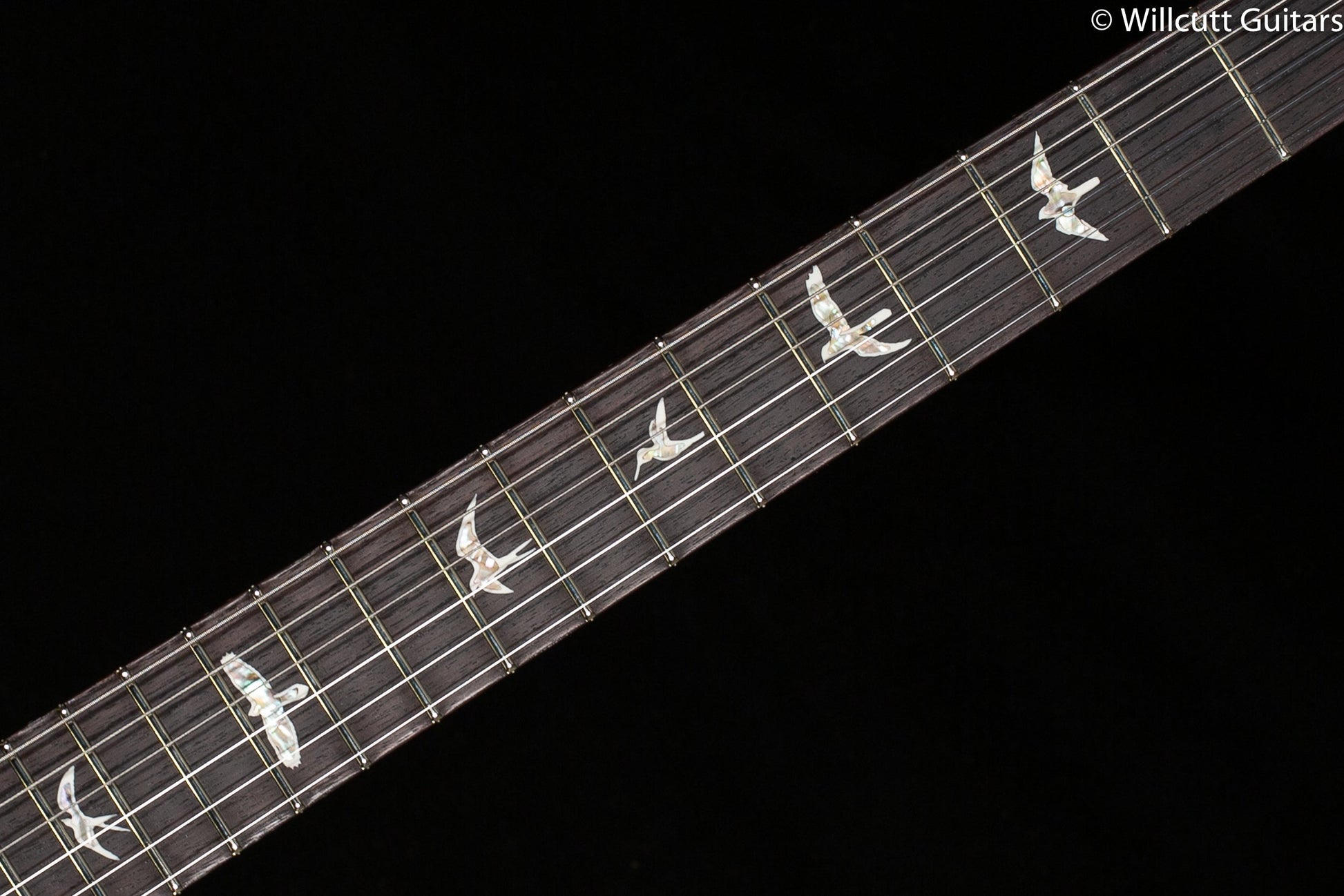PRS DGT Black Birds