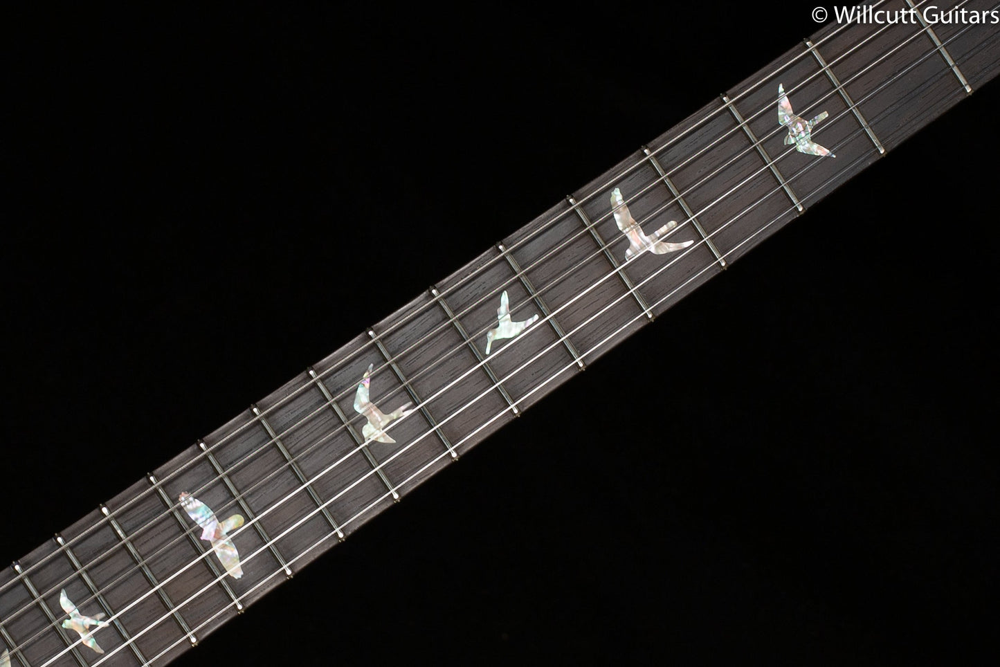 PRS Wood Library Modern Eagle V Custom Color River Blue Stained Flame Maple Neck (680)