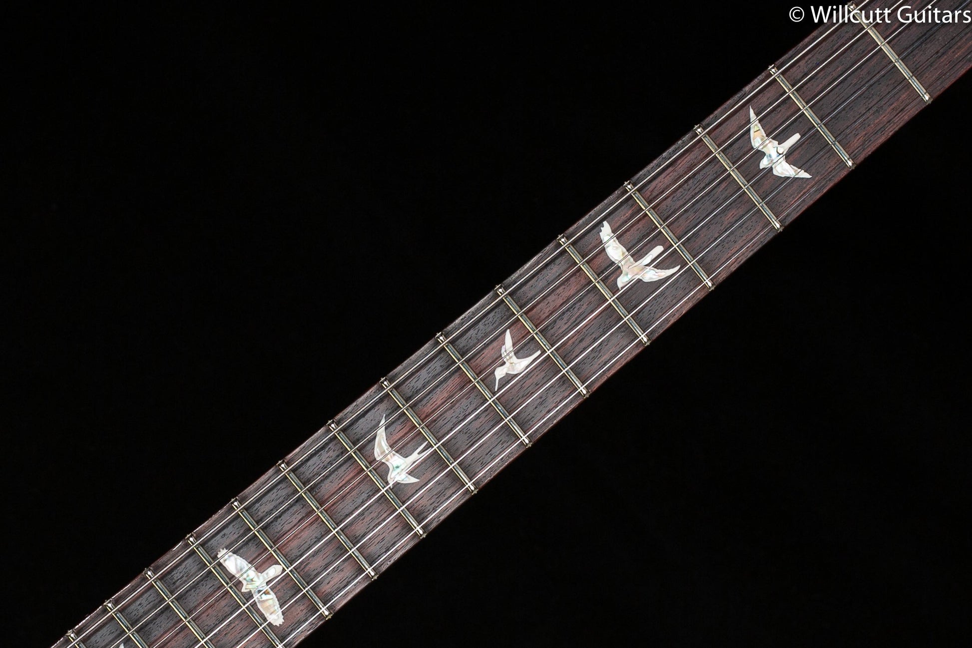PRS DGT Purple Iris 10 Top