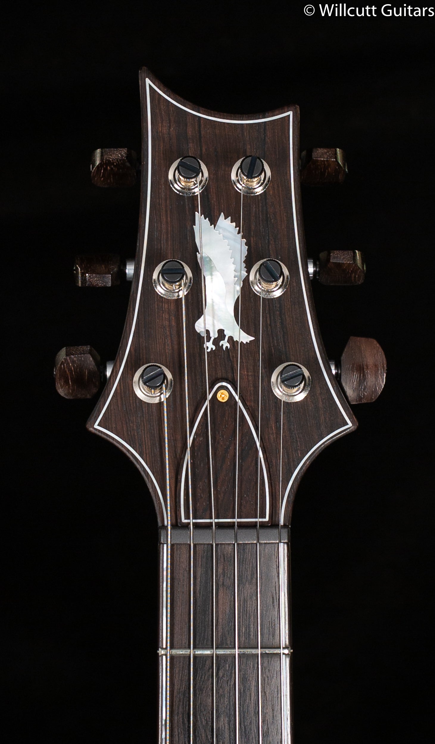 PRS Private Stock #9453 Special Semi-Hollow 24 Ziricote