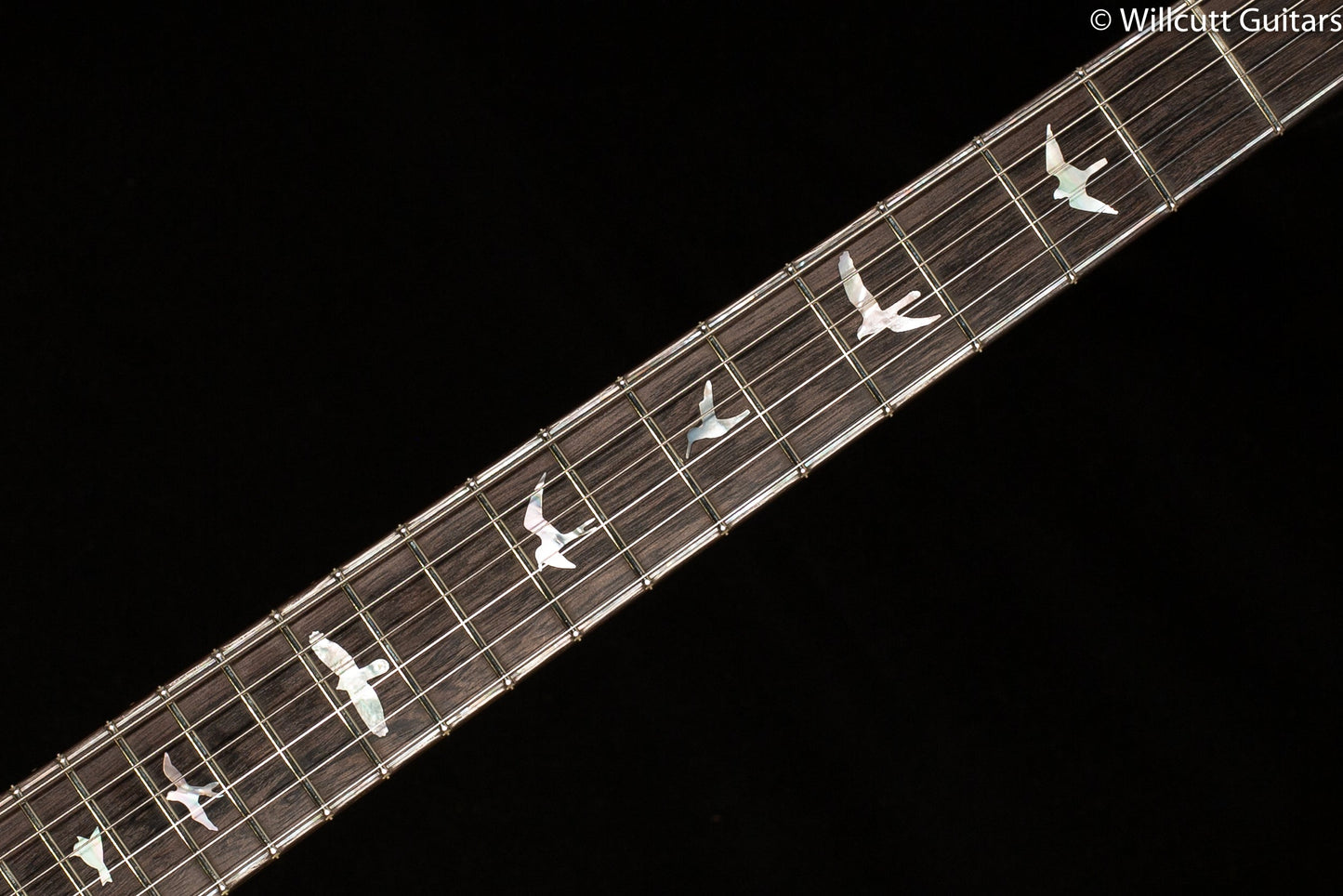 PRS Private Stock #9453 Special Semi-Hollow 24 Ziricote