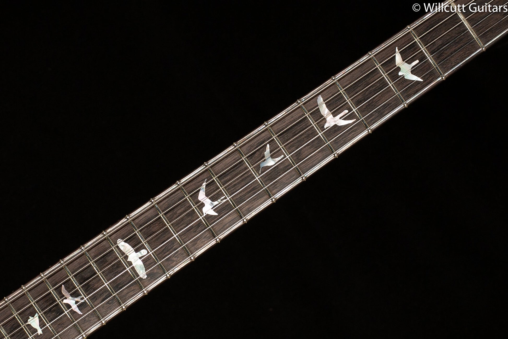 PRS Private Stock #9453 Special Semi-Hollow 24 Ziricote