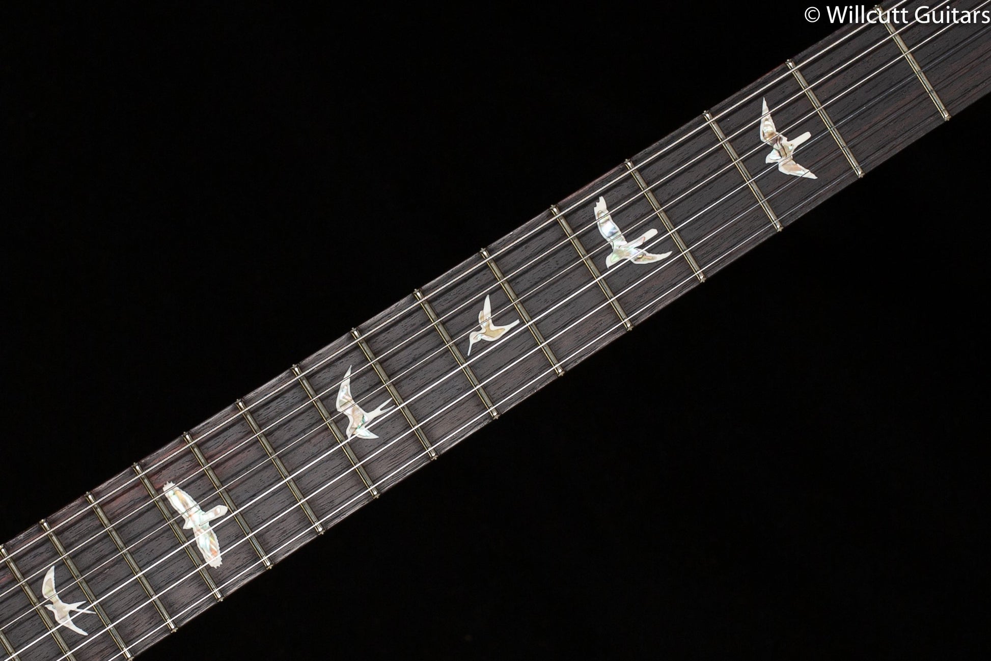 PRS Custom 24 Purple Iris 10 Top