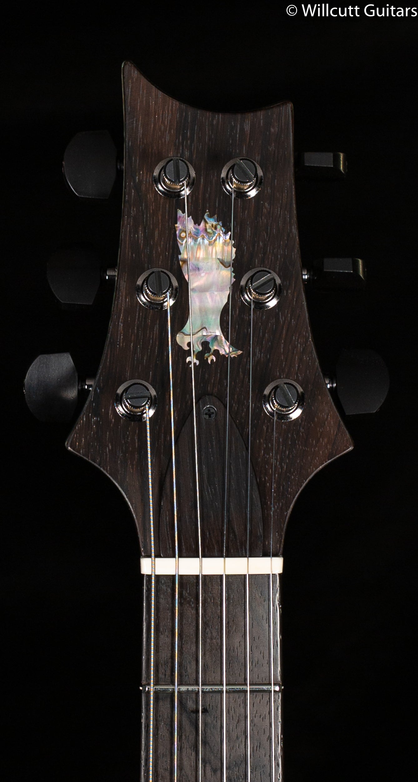 PRS Private Stock #9449 Modern Eagle V Whale Blue Glow