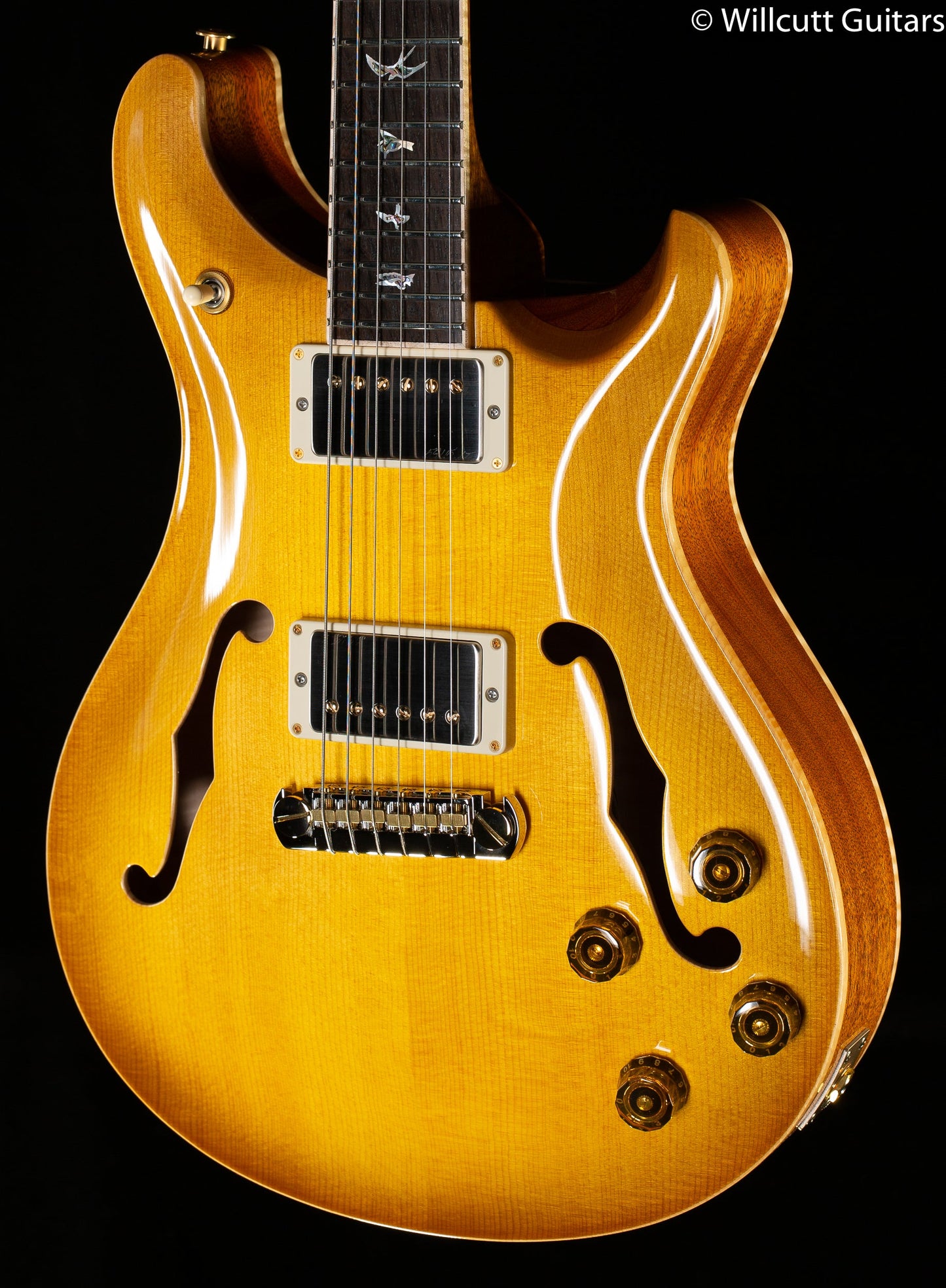 PRS Private Stock 9455 McCarty 594 Archtop II Vintage McCarty Burst (254)