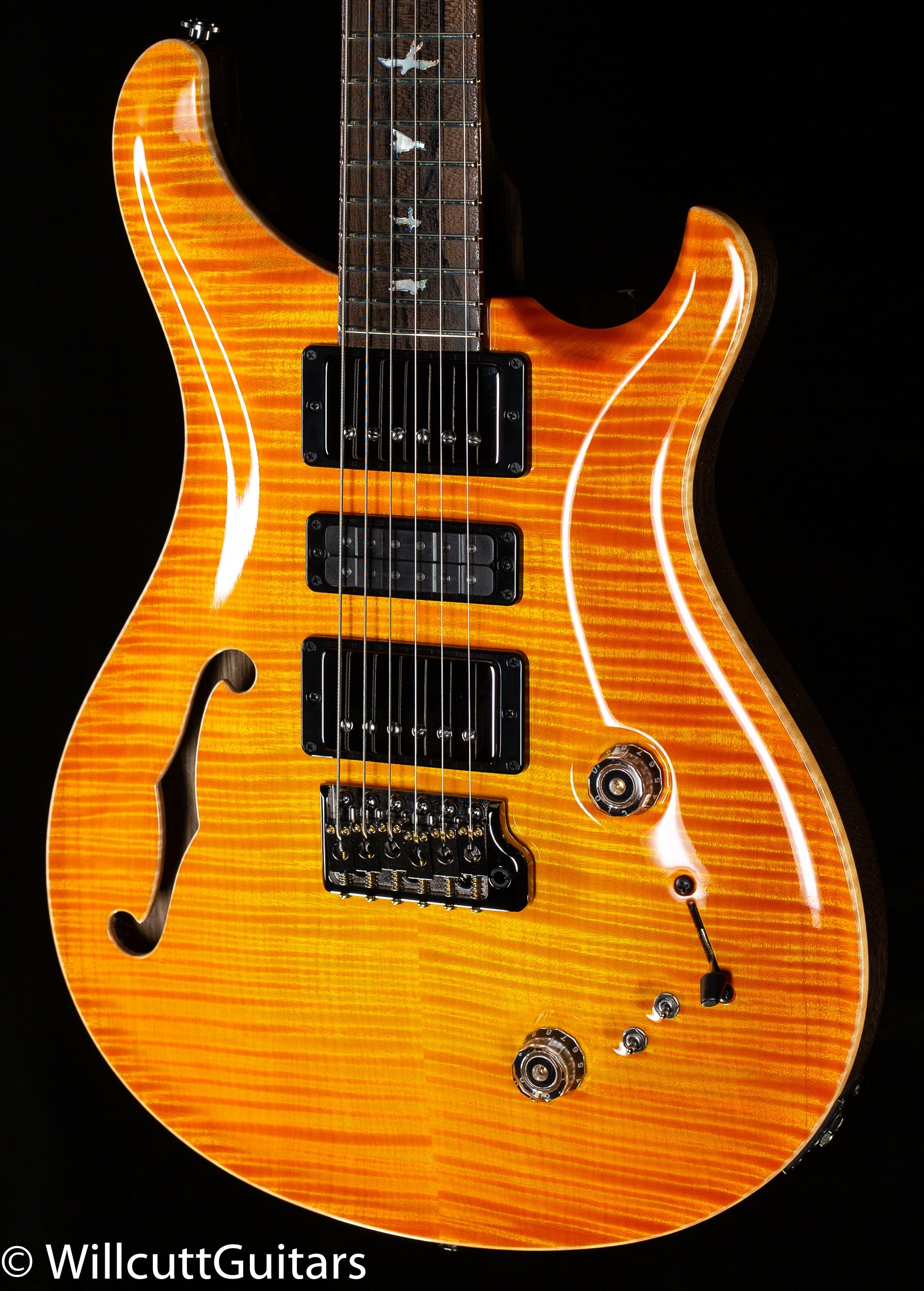 2022 PRS Private Stock 10068 Special Semi Hollow 2022 PS Limited Edition (055)