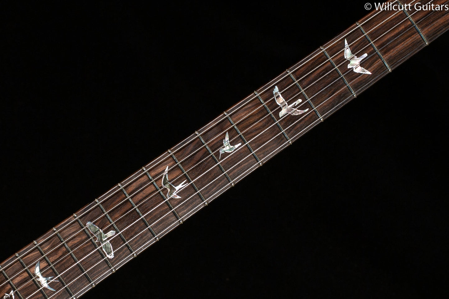 PRS Private Stock 9663 Custom 24-08 Buckeye Burl (124)