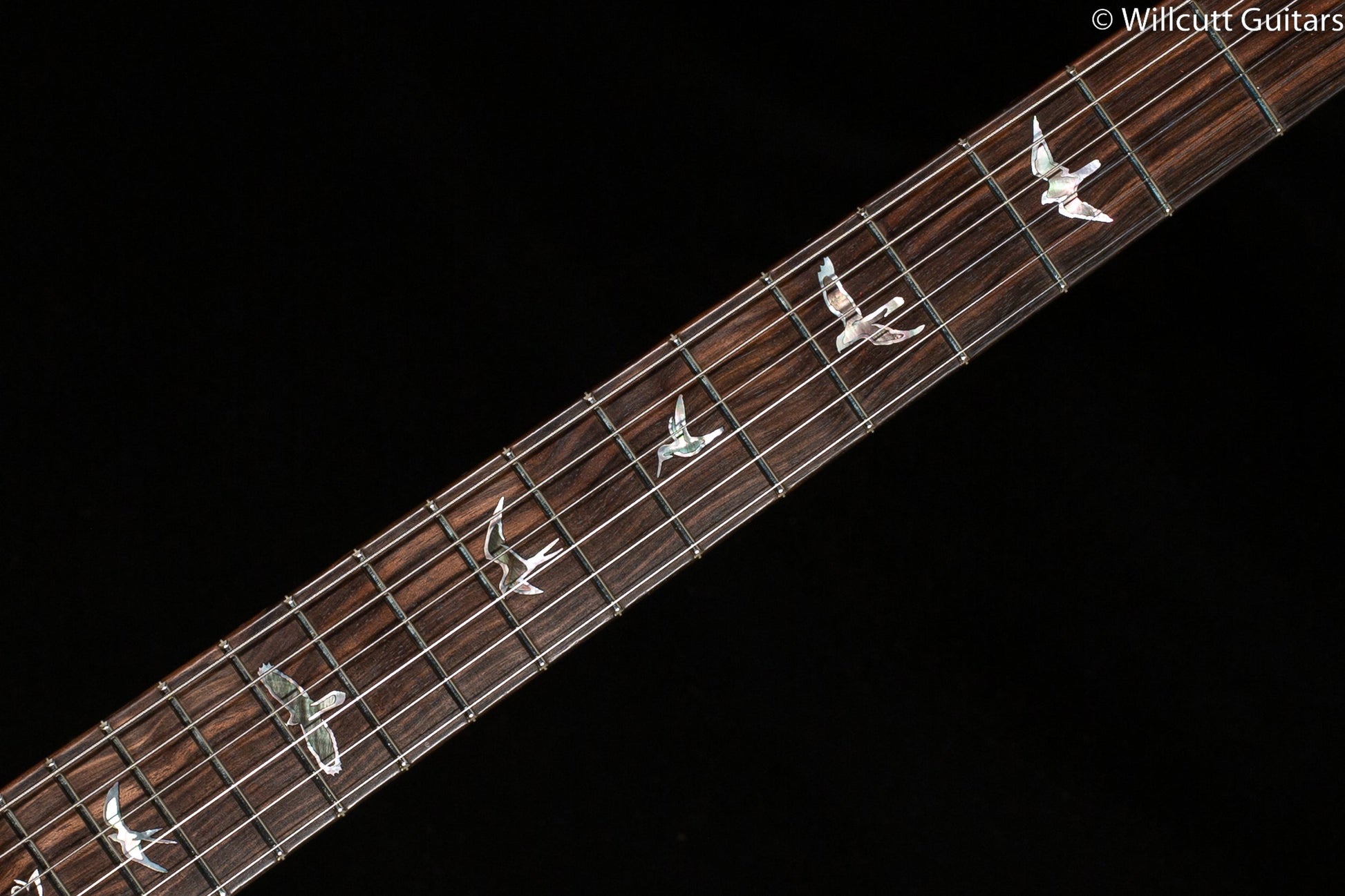 PRS Private Stock 9663 Custom 24-08 Buckeye Burl (124)