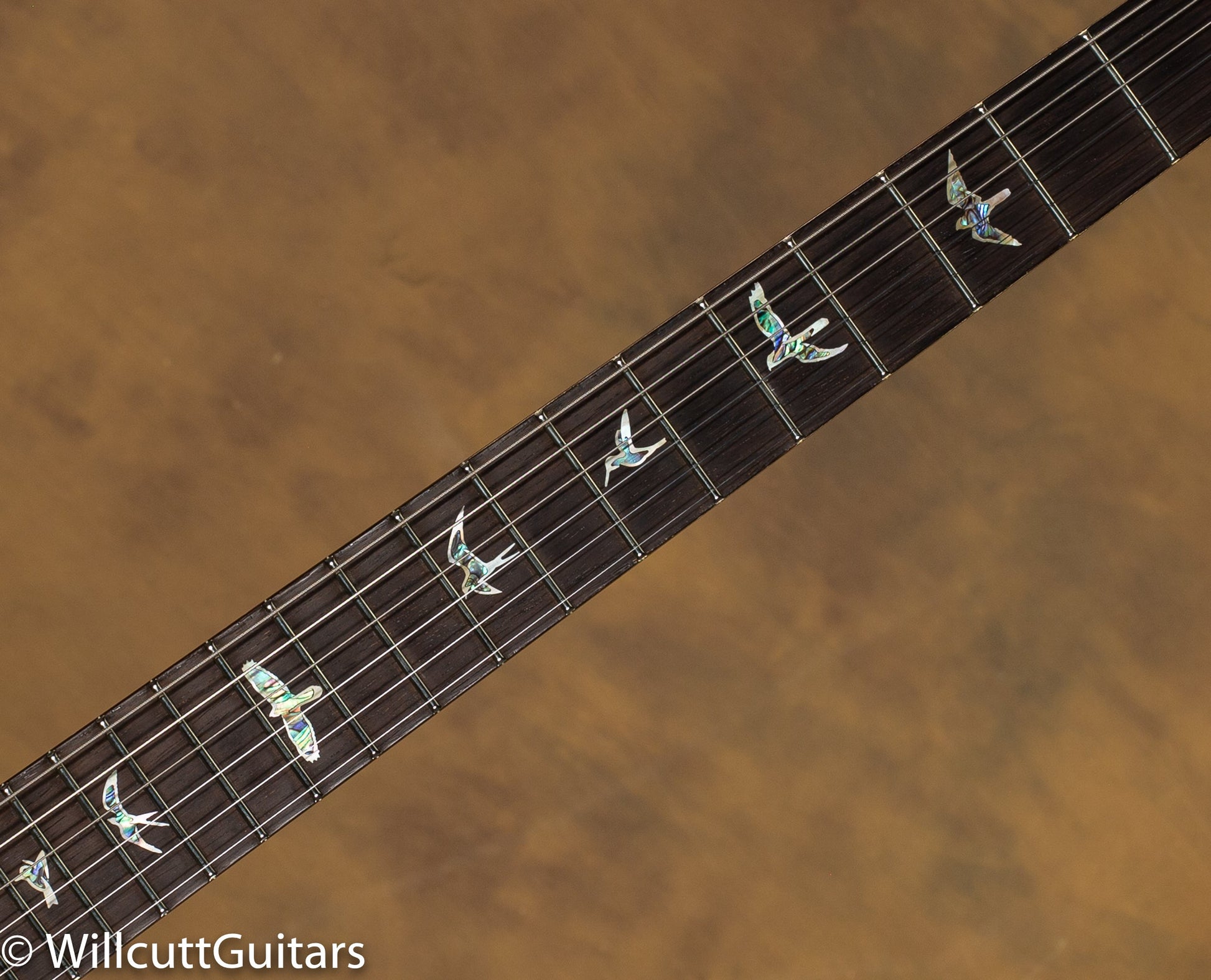 PRS DGT Wood Library 10 top Quilt
