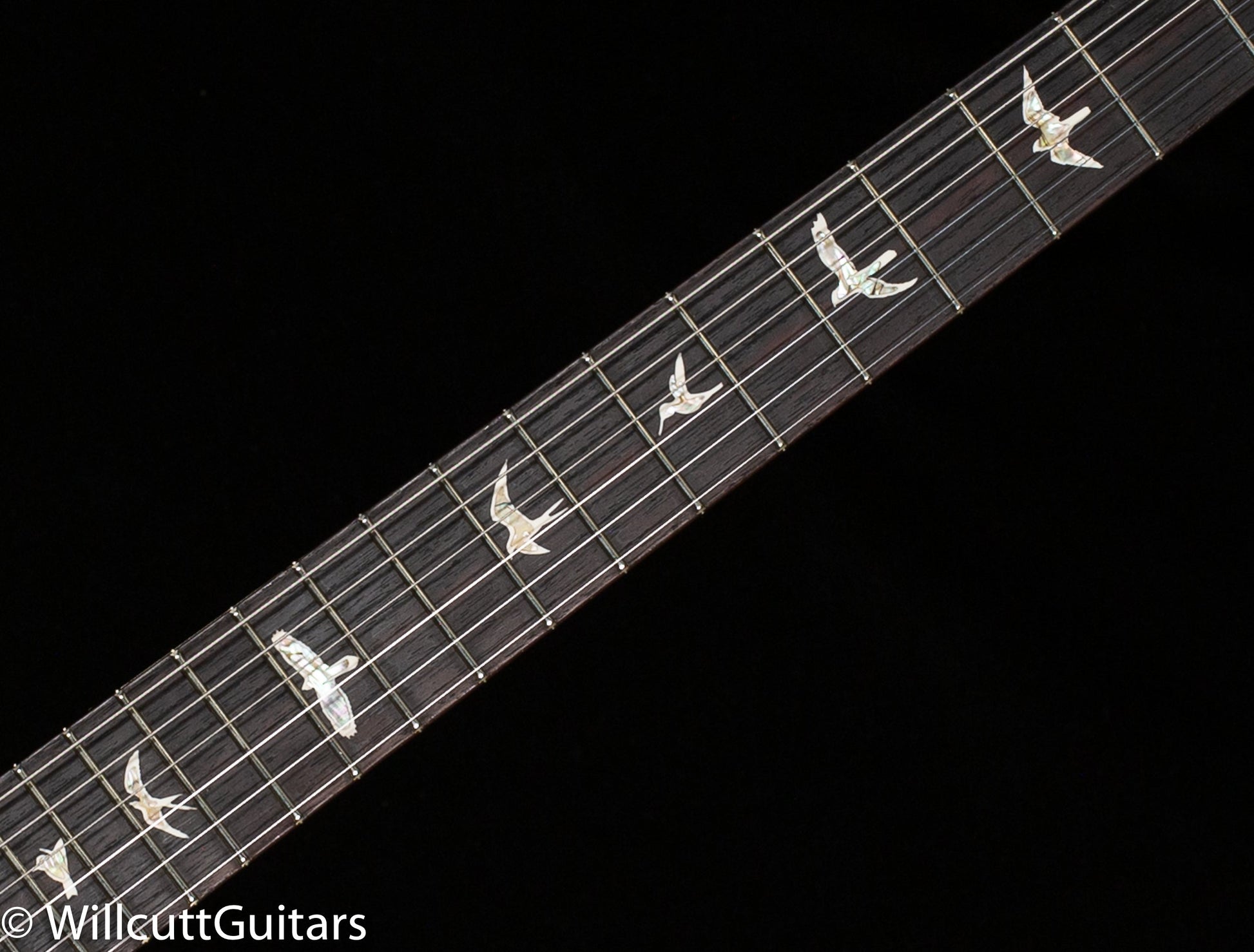 PRS Special Semi-Hollow Charcoal Purple Wrap Burst (526)