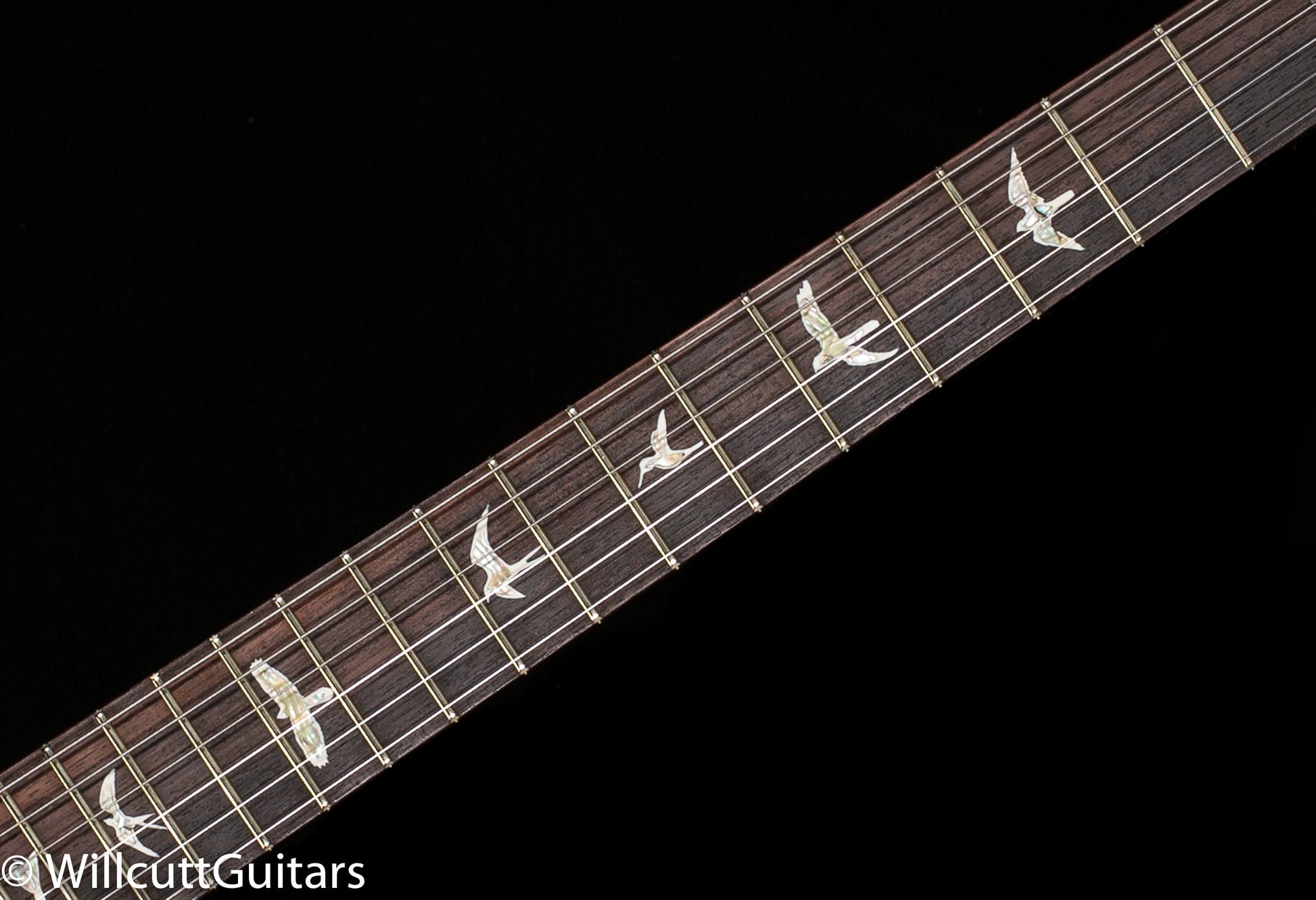 PRS Special Semi-Hollow Custom Color Ezira Verde Black Wrap Burst (622)