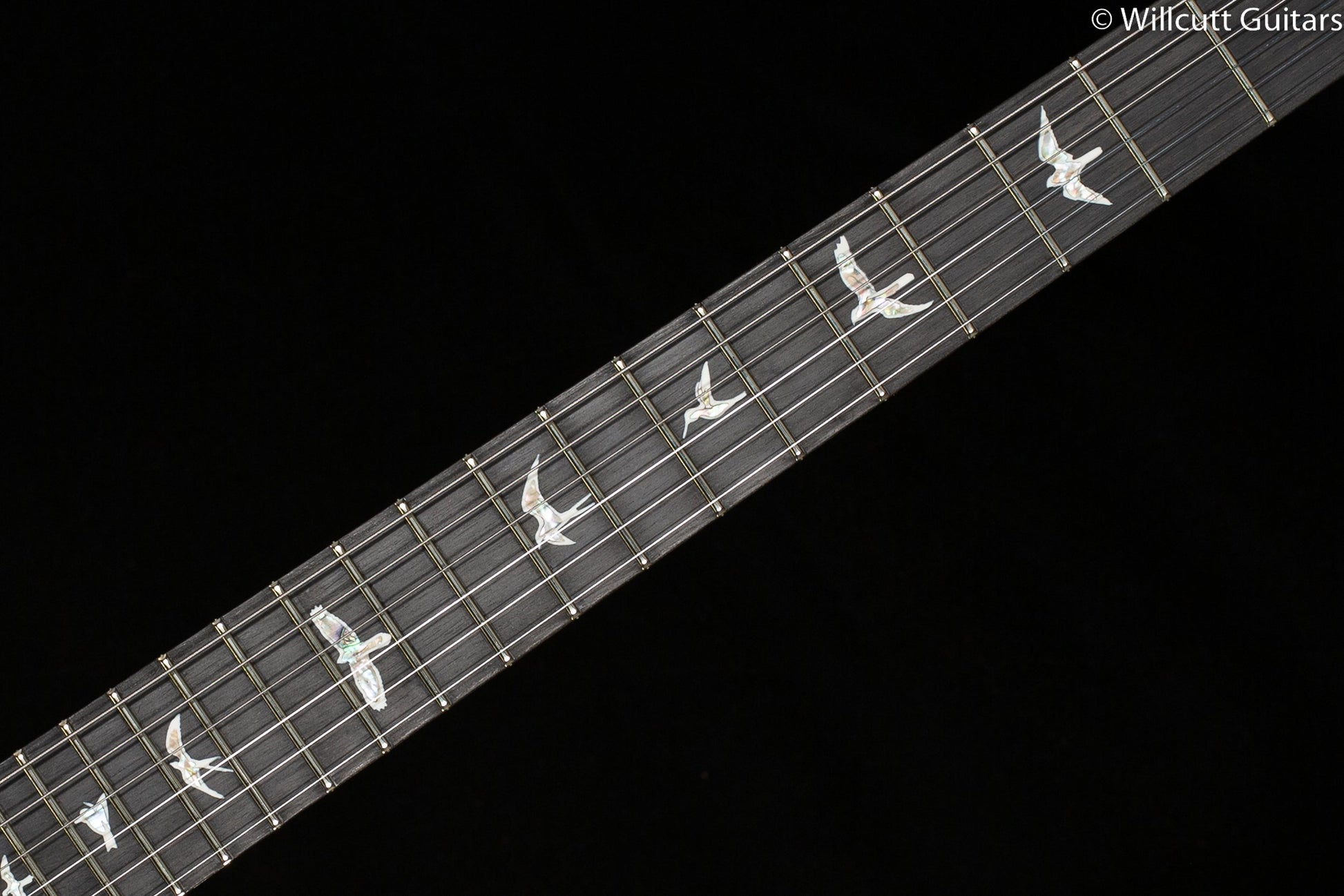 PRS Custom 24 Floyd Purple Iris 10 top (362)