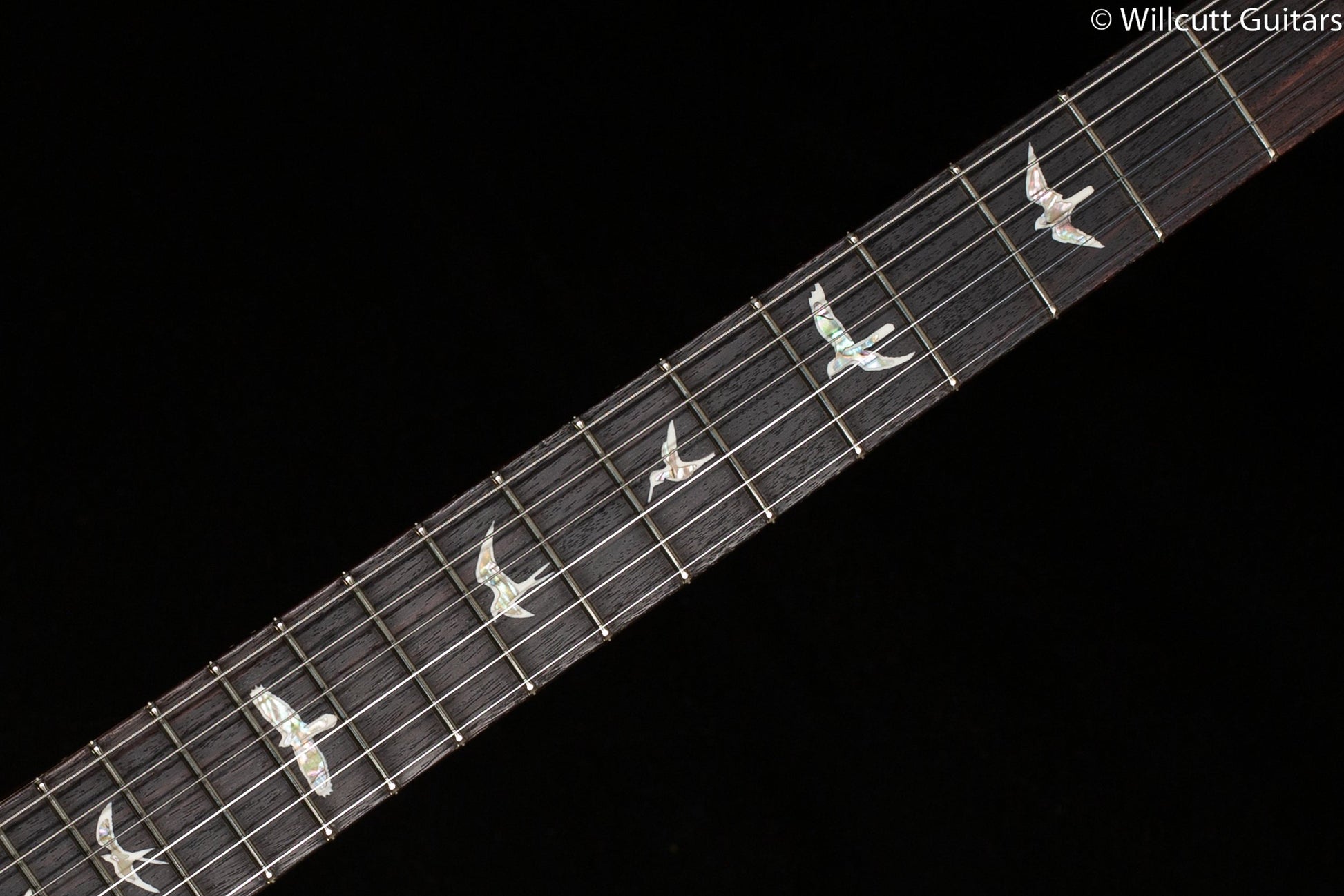 PRS Tremonti Signature 10 top Purple Iris (691)