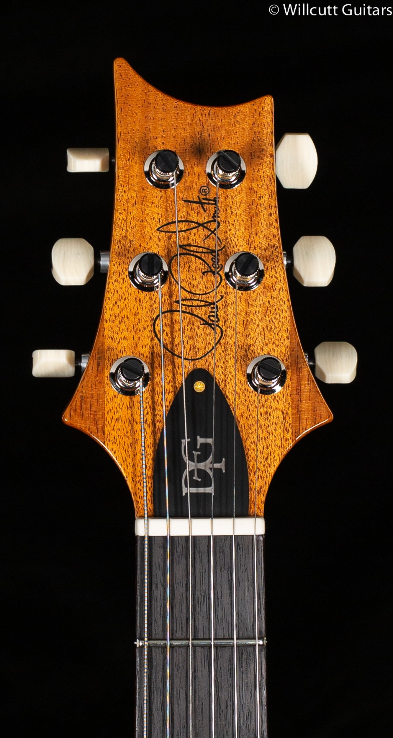 PRS DGT Eriza Verde 10 Top (803)