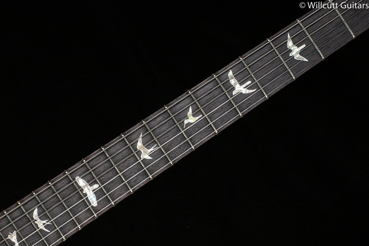 PRS DGT Eriza Verde 10 Top (803)