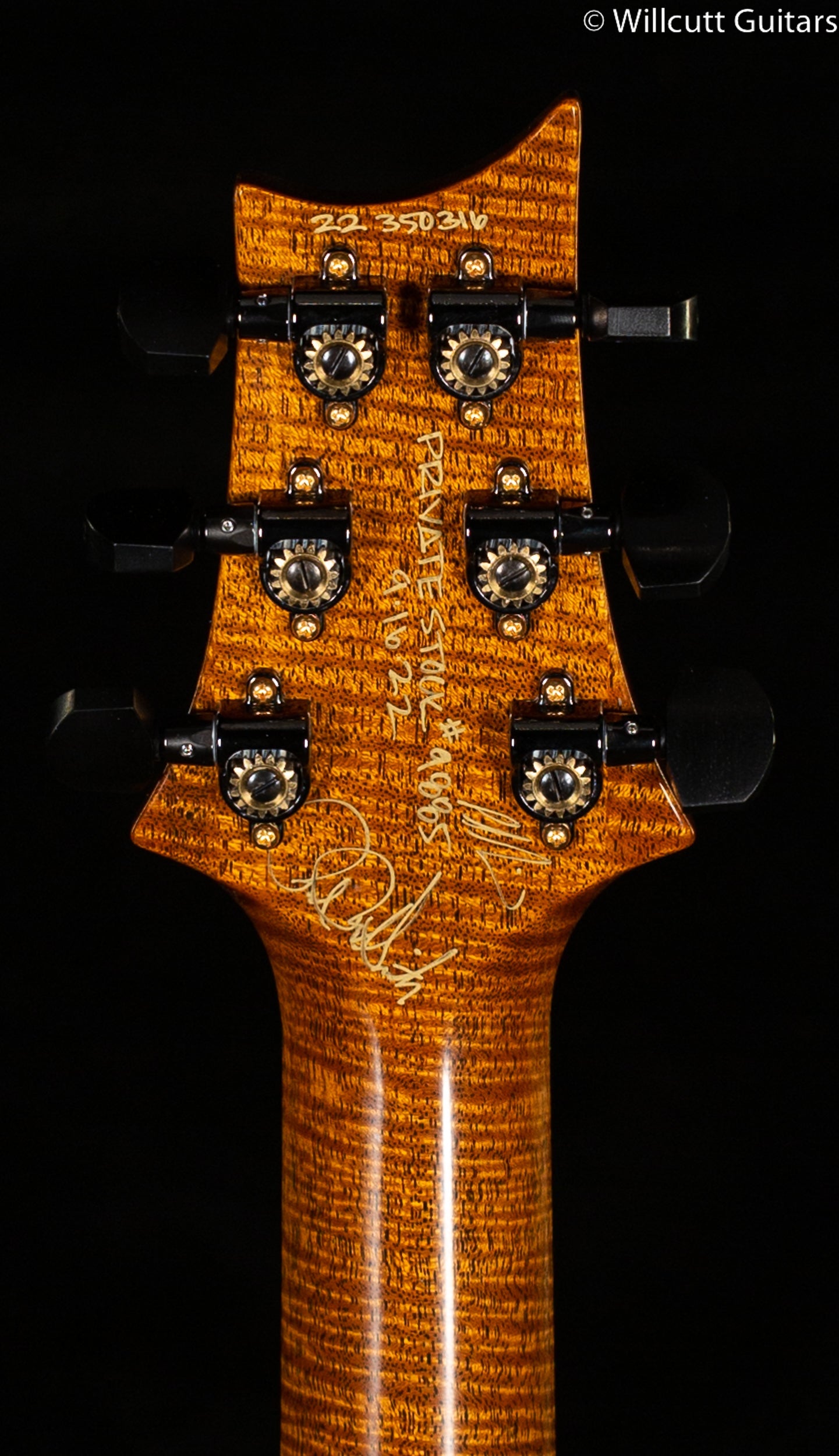 PRS Private Stock 9885 Hollowbody II - 24 Fret Dirty Natural (316)