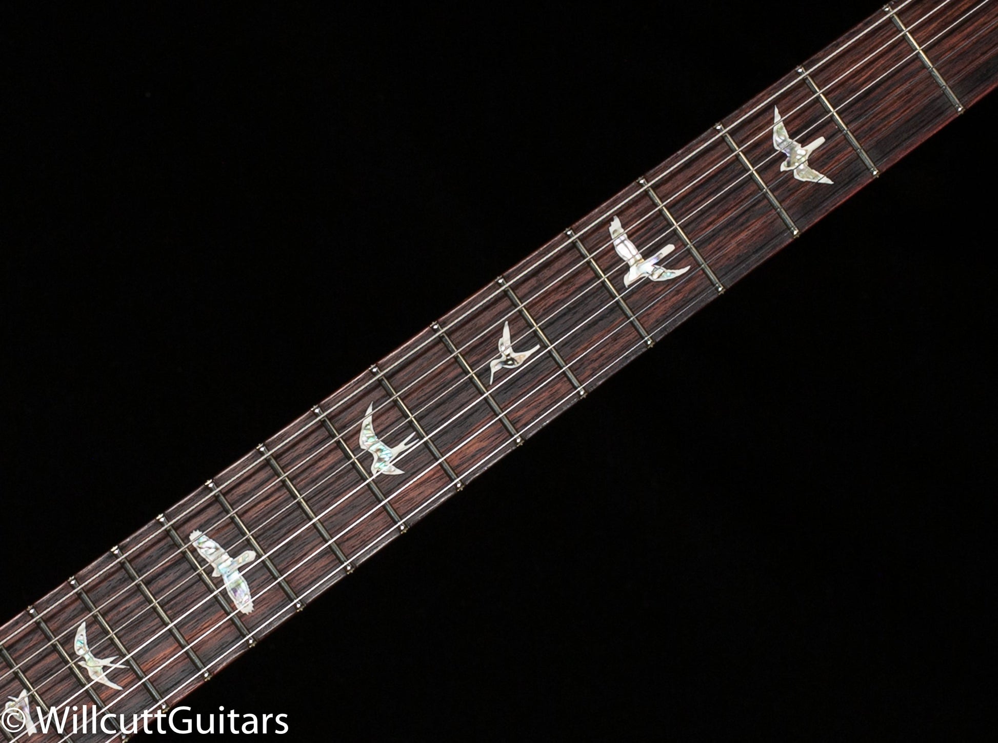 PRS DGT Custom Color Eriza Verde Green Burst (678)