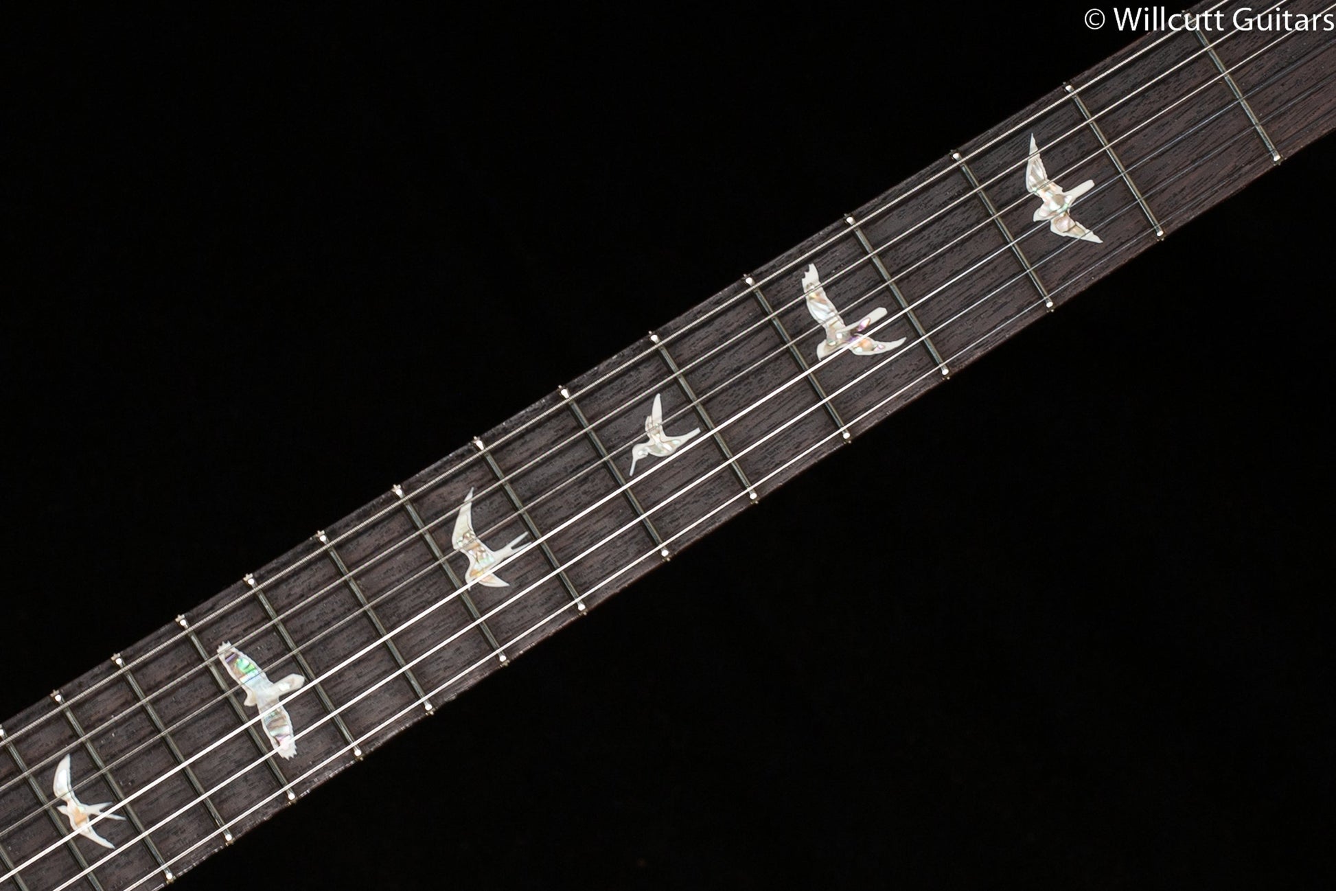PRS Special Semi-Hollow 10 Top Orange Tiger (484)