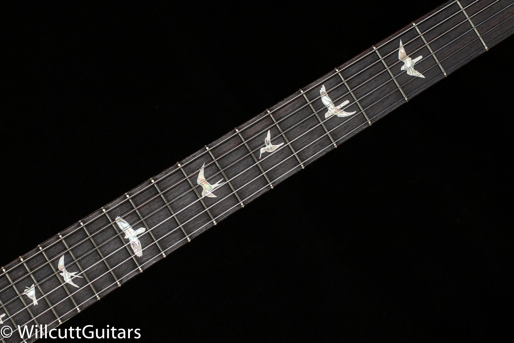 PRS Custom 24-08 Eriza Verde 10 Top  (704)