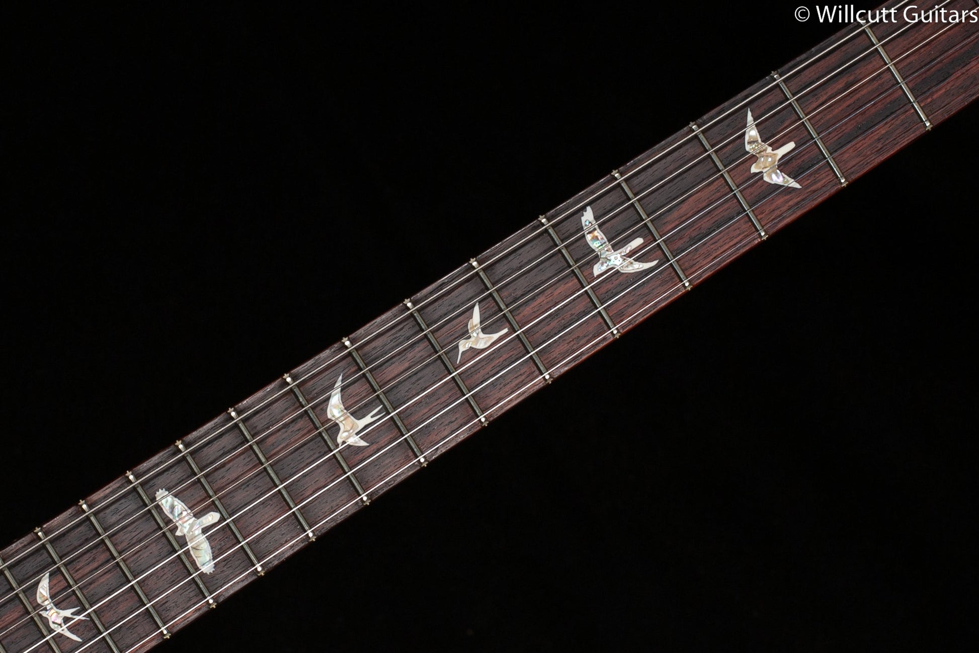 2022 PRS Tremonti Signature Purple Iris 10 Top (302)