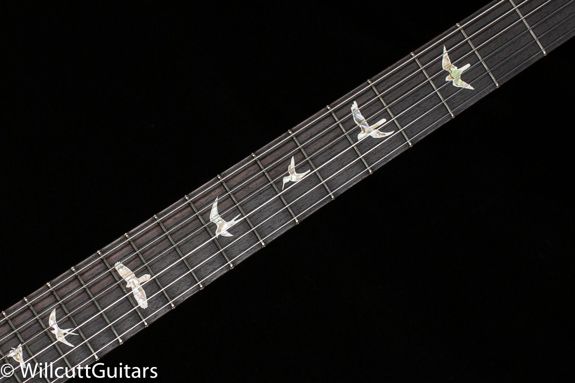 2022 PRS Special Semi-Hollow Eriza Verde 10 Top (843)