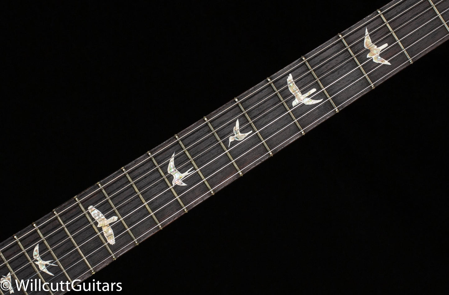 PRS Modern Eagle V Black (597)