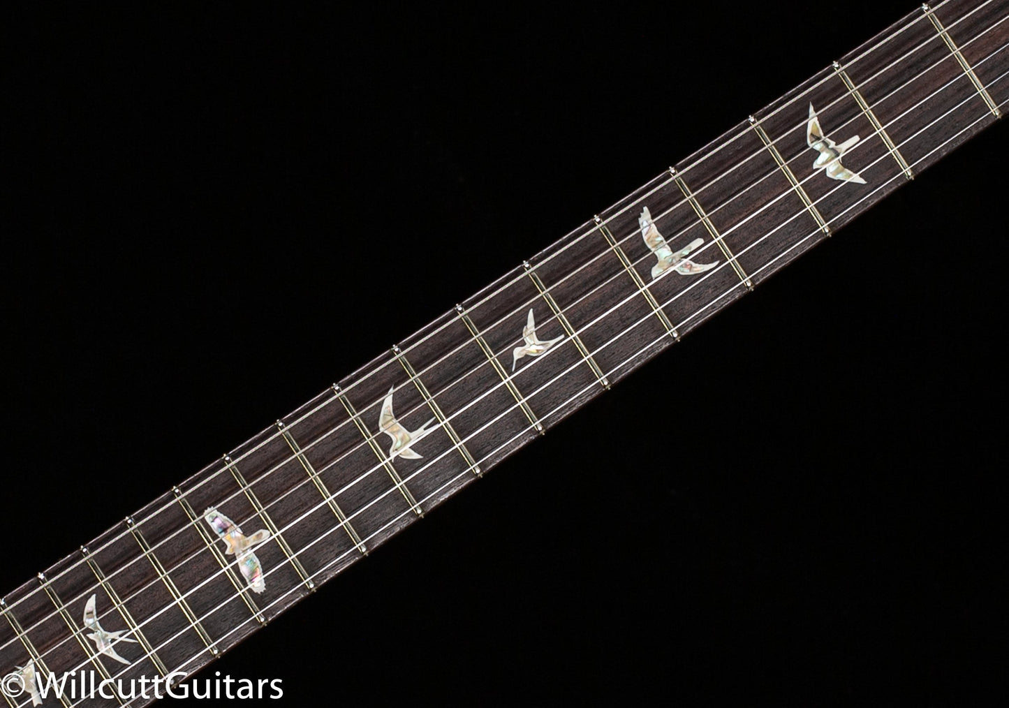 PRS Special Semi-Hollow Cobalt Blue 10 Top(895)