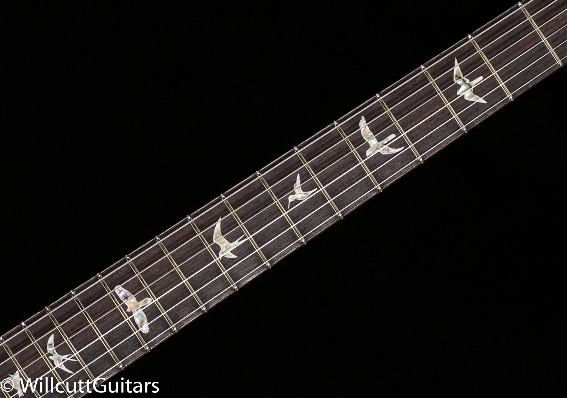 PRS Special Semi-Hollow Cobalt Blue 10 Top(895)