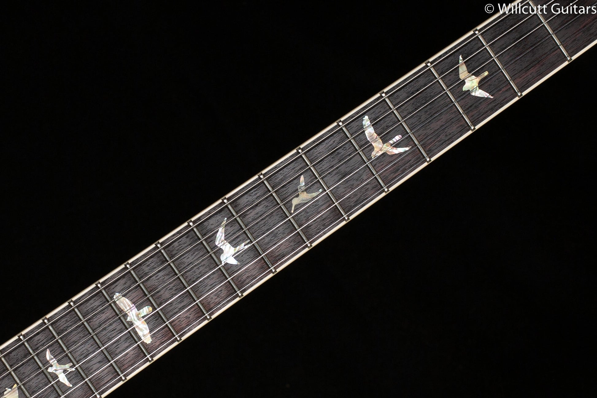 PRS McCarty 594 Hollowbody II Faded Whale Blue 10 Top (437)