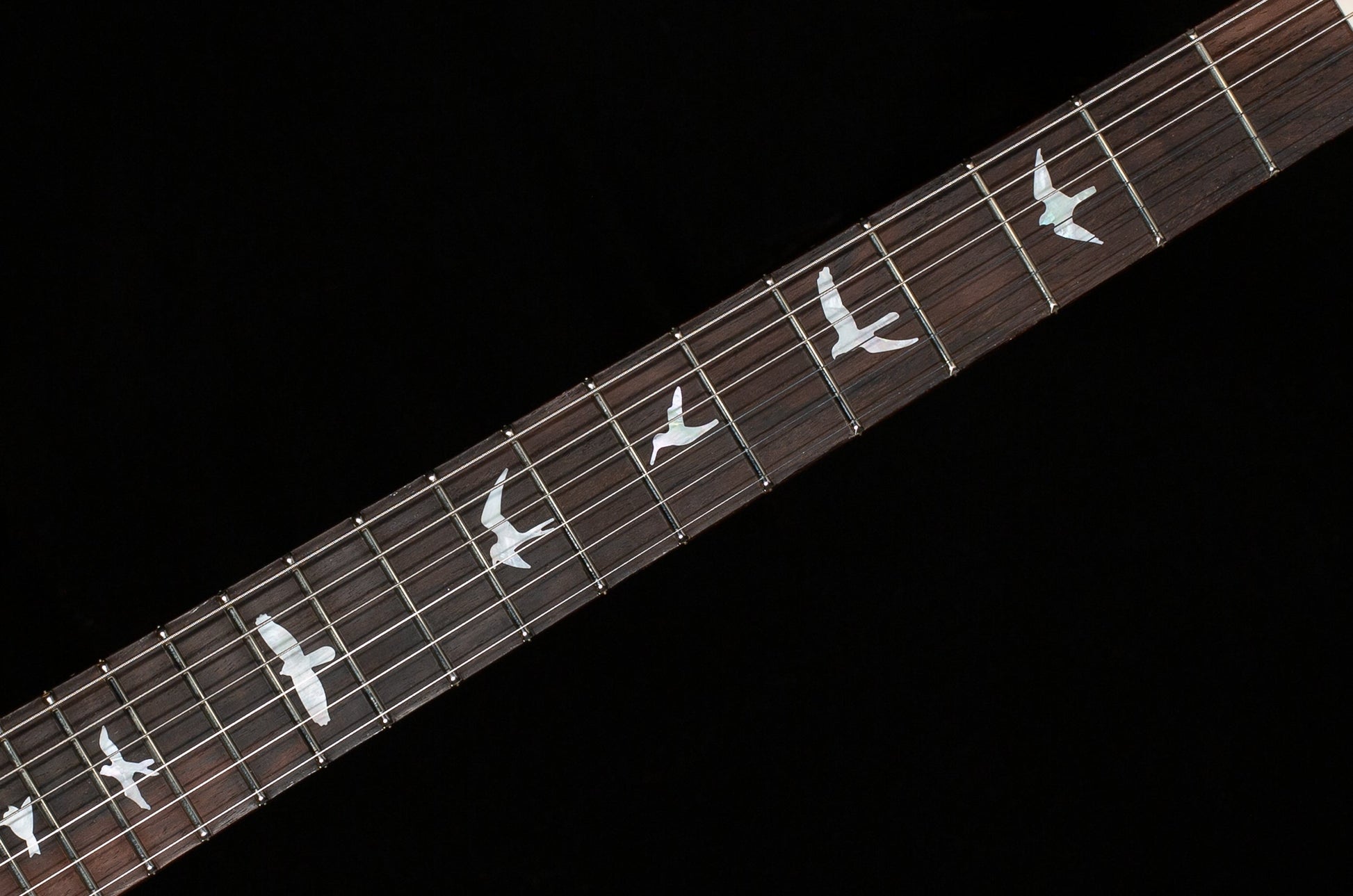 PRS Wood Library DGT Gold Top Brazilian (219)