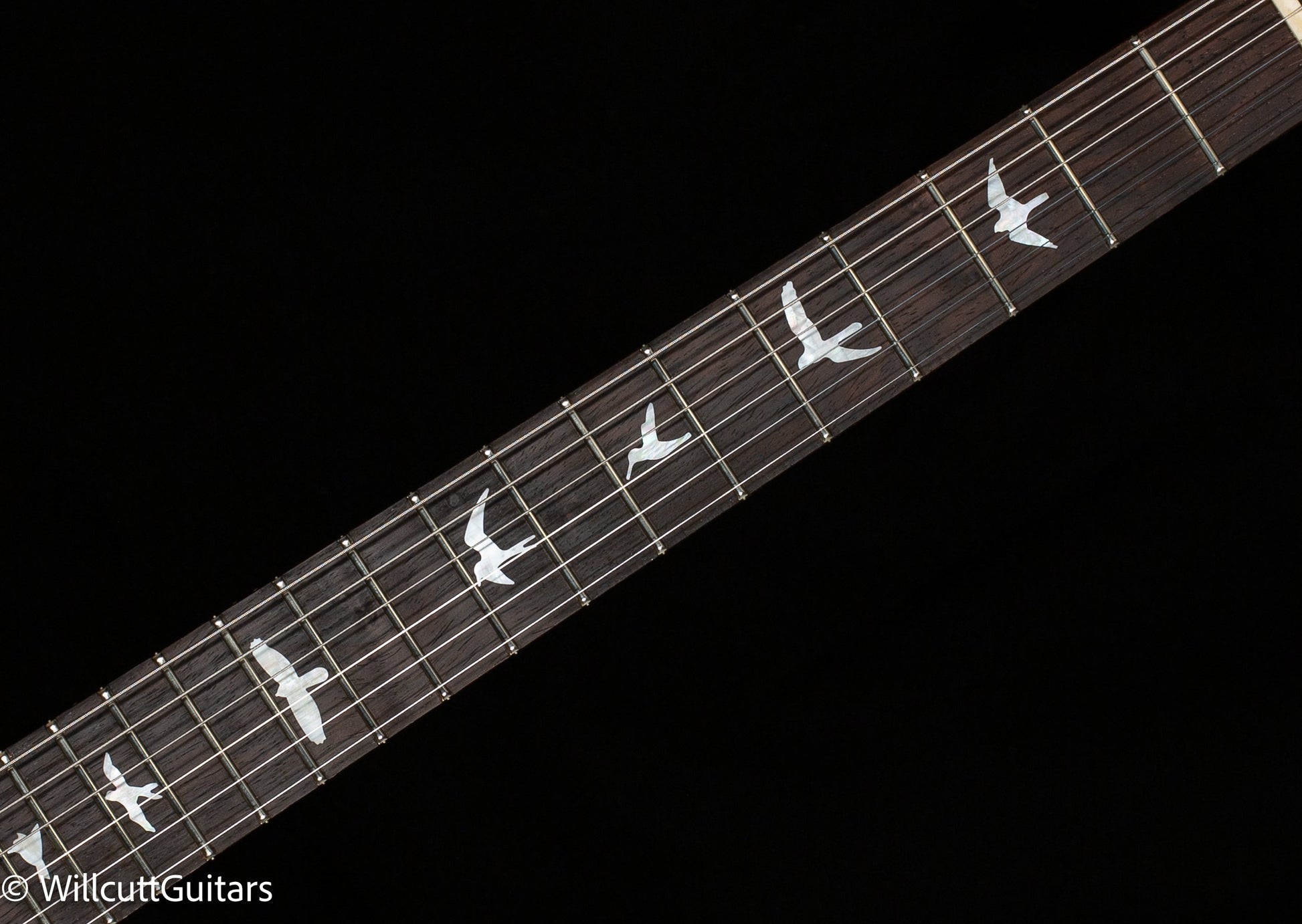 PRS Wood Library DGT Gold Top Brazilian (223)
