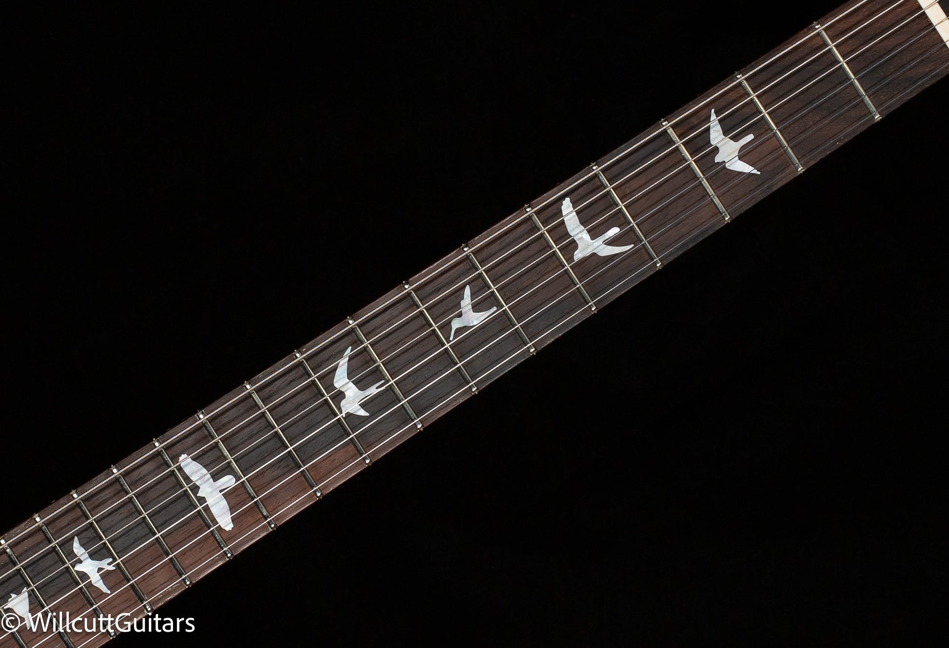 PRS Wood Library DGT Gold Top Brazilian (225)