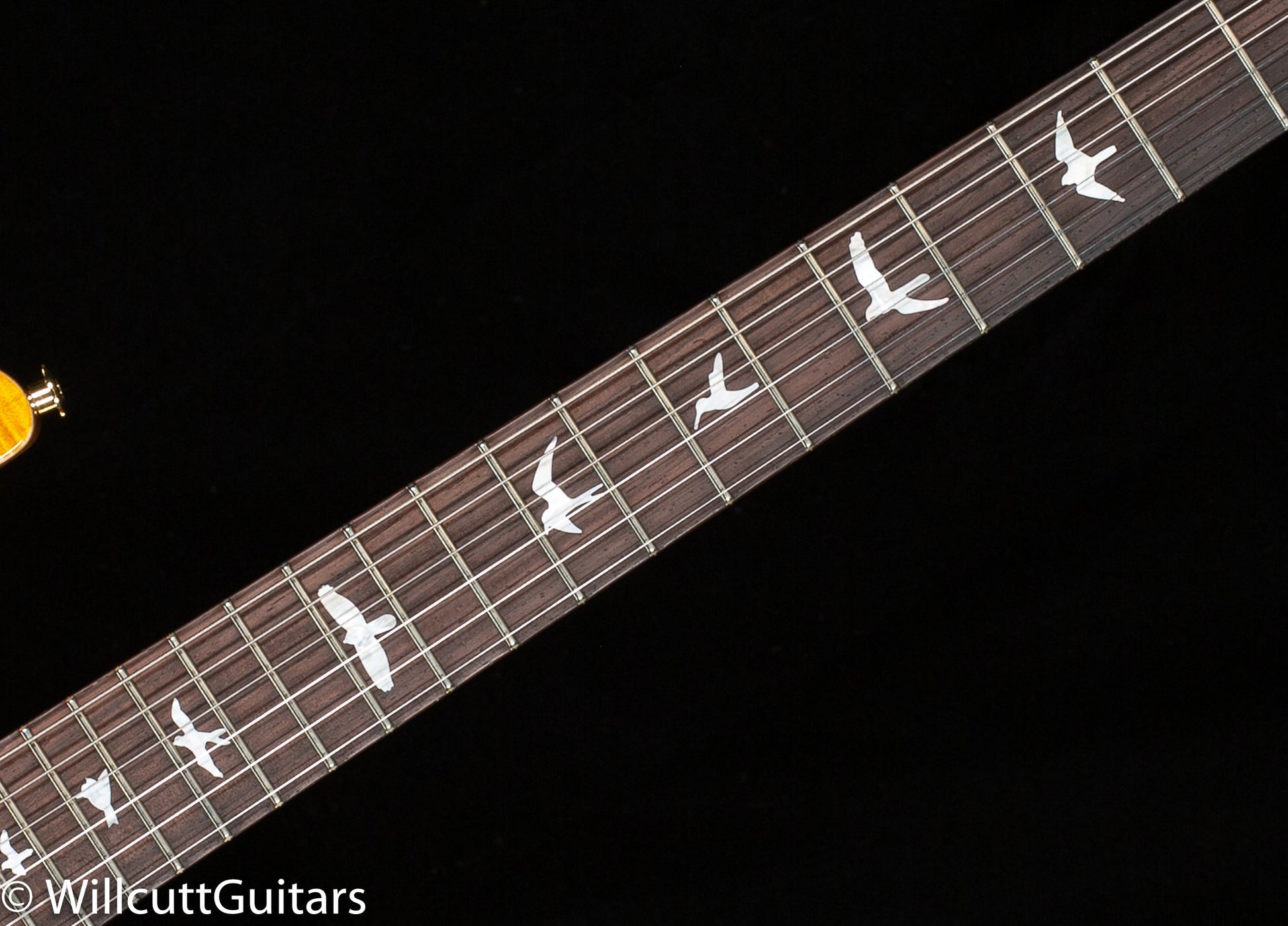 PRS Wood Library Studio Santana Yellow 10 Top Torrefied Maple Neck (842)
