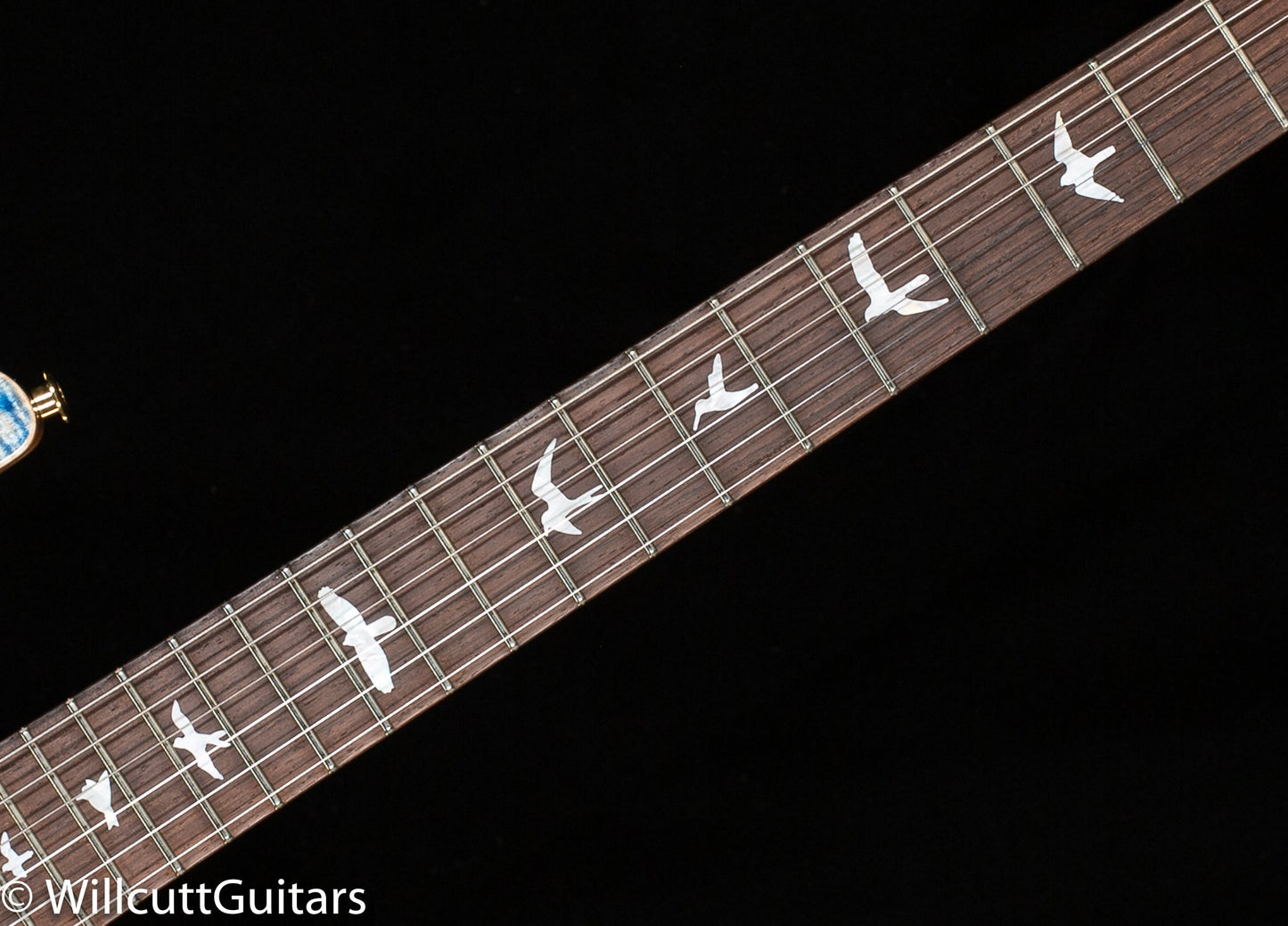 PRS Wood Library Studio Faded Blue Jean 10 Top Torrefied Maple Neck (845)