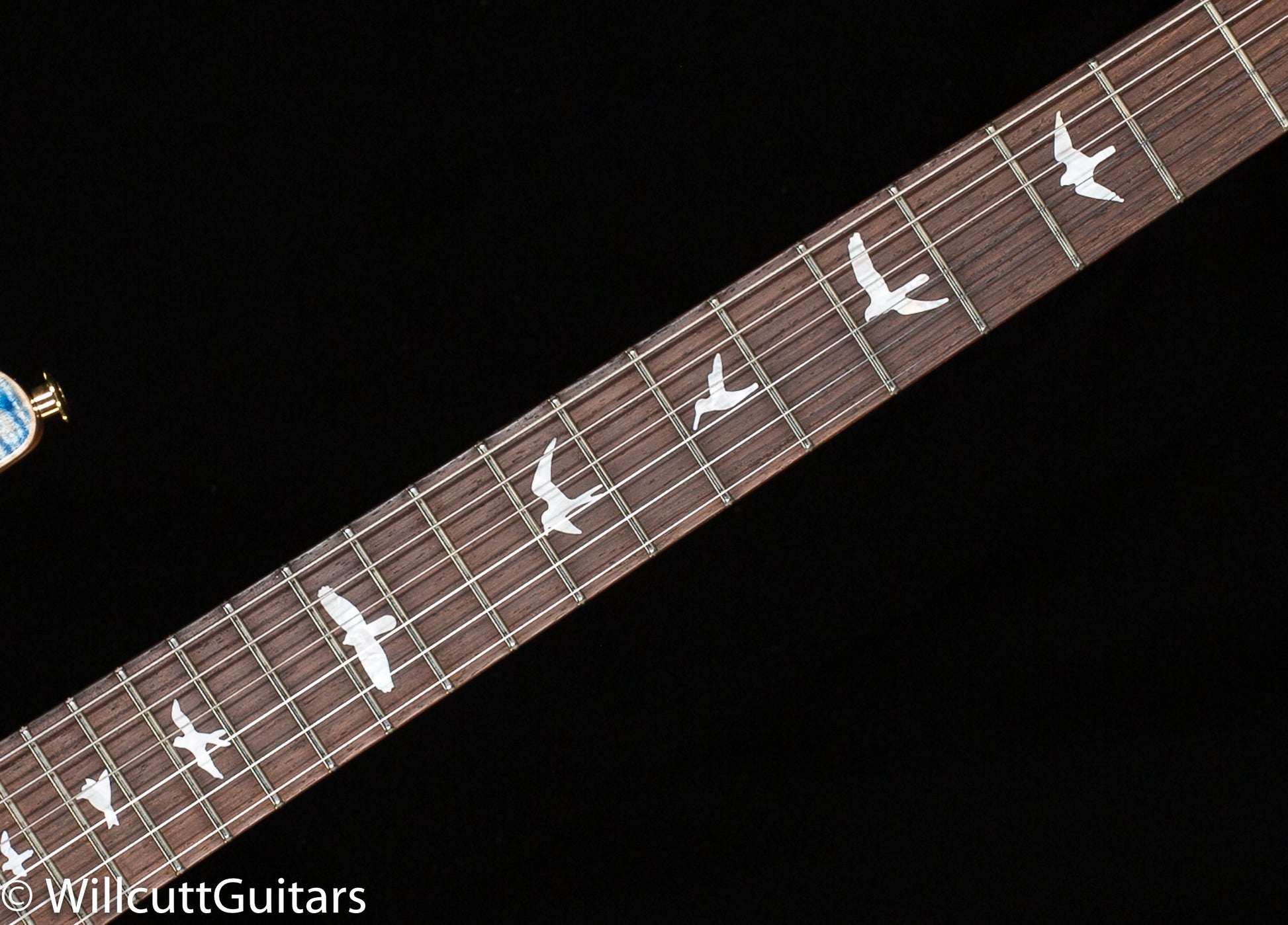 PRS Wood Library Studio Faded Blue Jean 10 Top Torrefied Maple Neck (845)