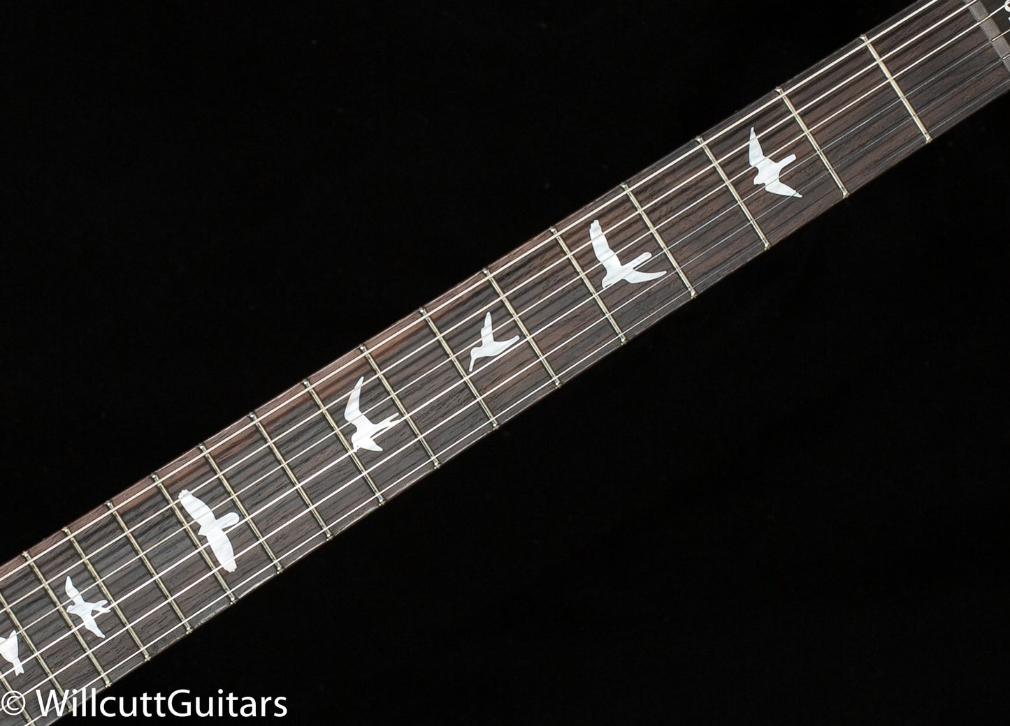 PRS Wood Library Studio Faded Blue Jean 10 Top Torrefied Maple Neck (847)