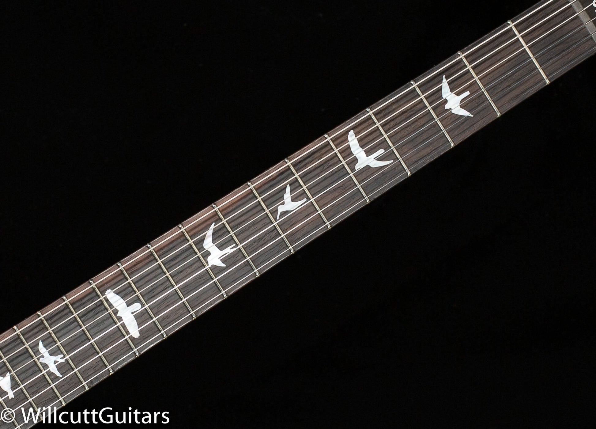 PRS Wood Library Studio Faded Blue Jean 10 Top Torrefied Maple Neck (847)