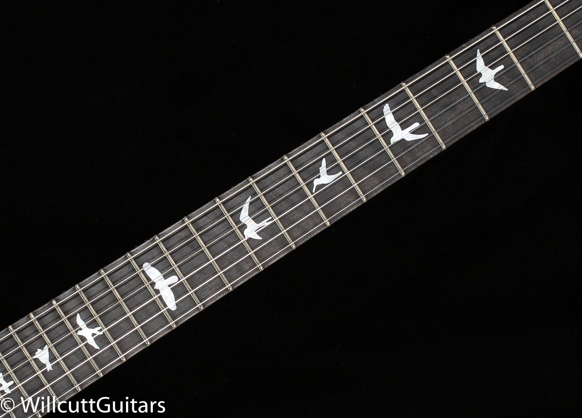PRS Wood Library Custom 24-08 Aquableux 10 Top Rosewood Neck (946)