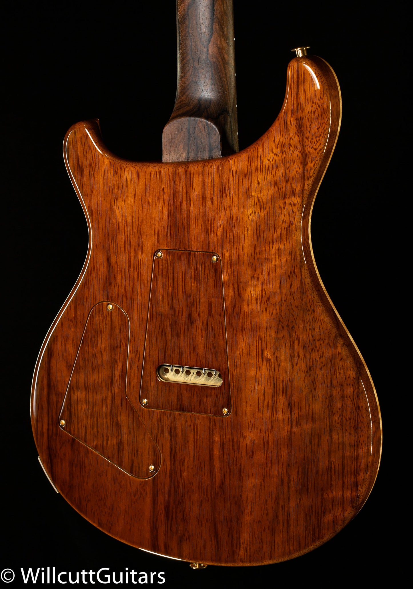 PRS Private Stock 10261 Custom 24 Dragon's Breath (557)