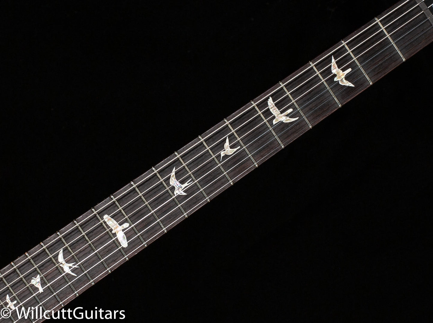 PRS Custom 24 Piezo Purple Iris 10 Top (928)