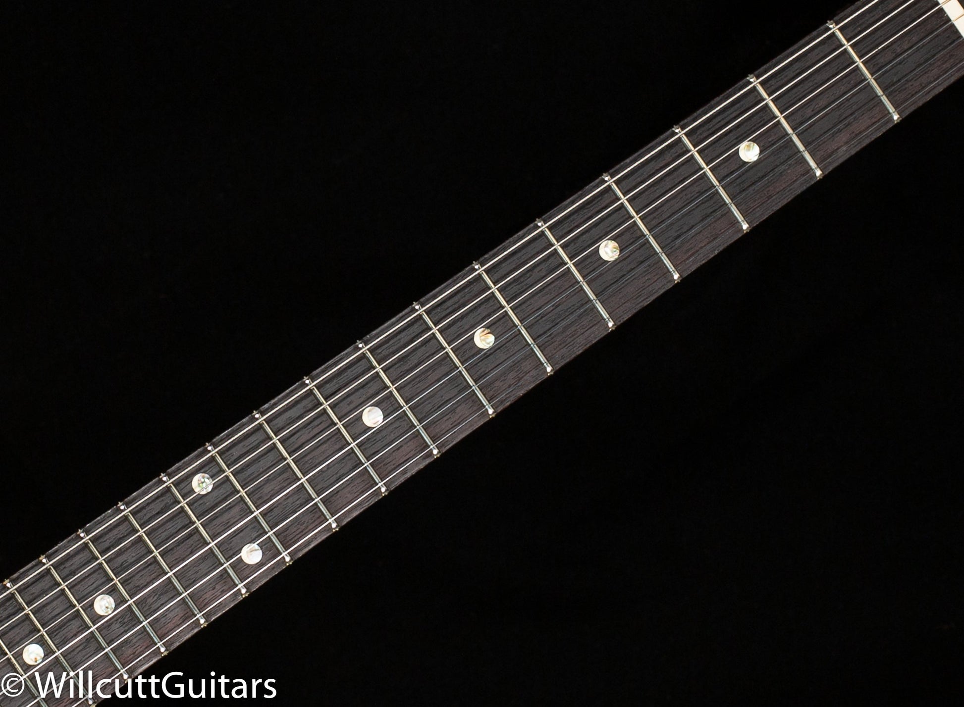 PRS DGT David Grissom Tremolo Grissom Gold Top (464)