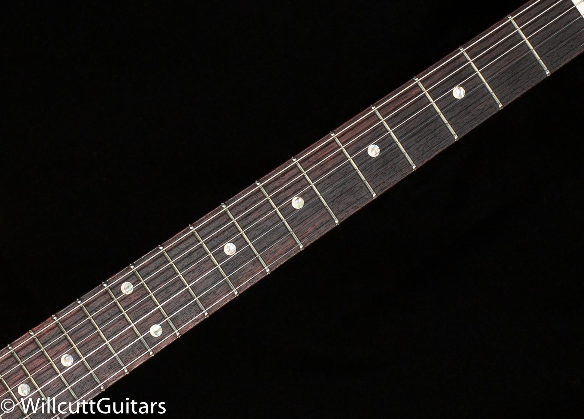 PRS DGT David Grissom Tremolo Gold Top (644)