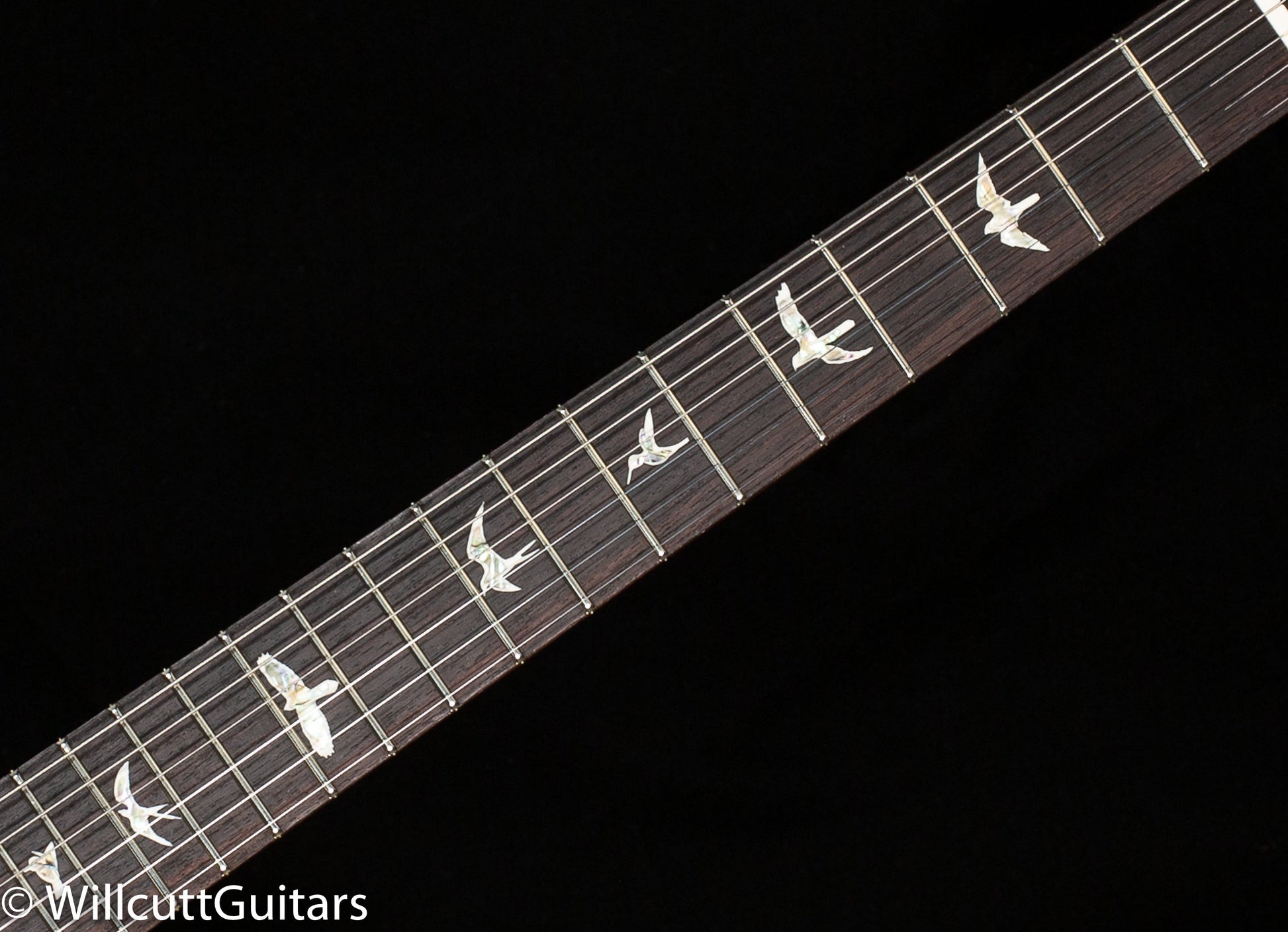 PRS Modern Eagle V Purple Mist 10 Top (510)