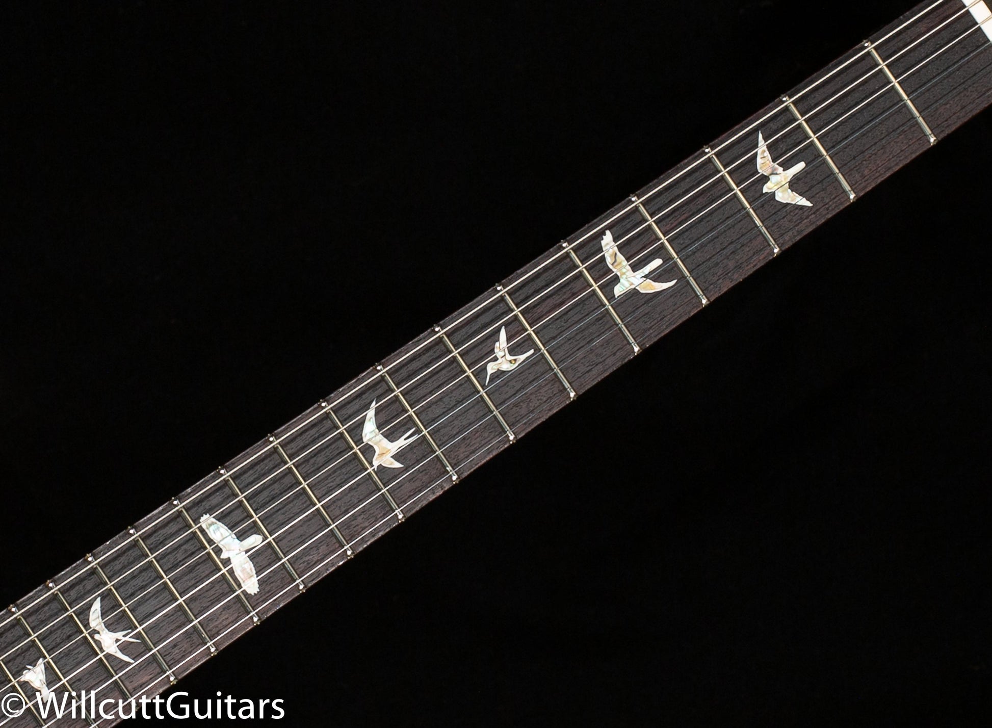 PRS DGT David Grissom Tremolo Gold Top (008)