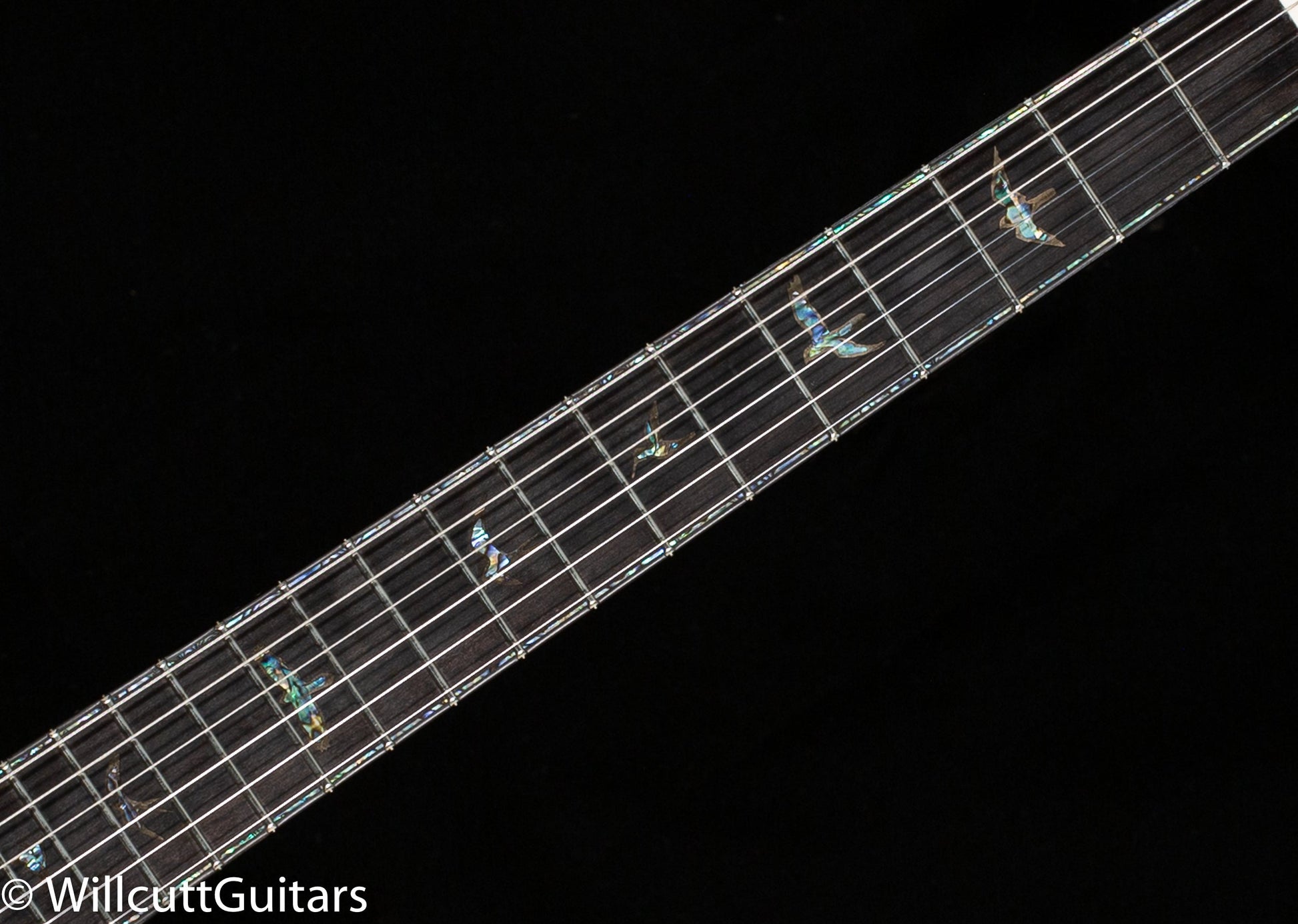 PRS Private Stock 10329 Custom 22-08 Electric Tiger Glow Smokeburst (534)