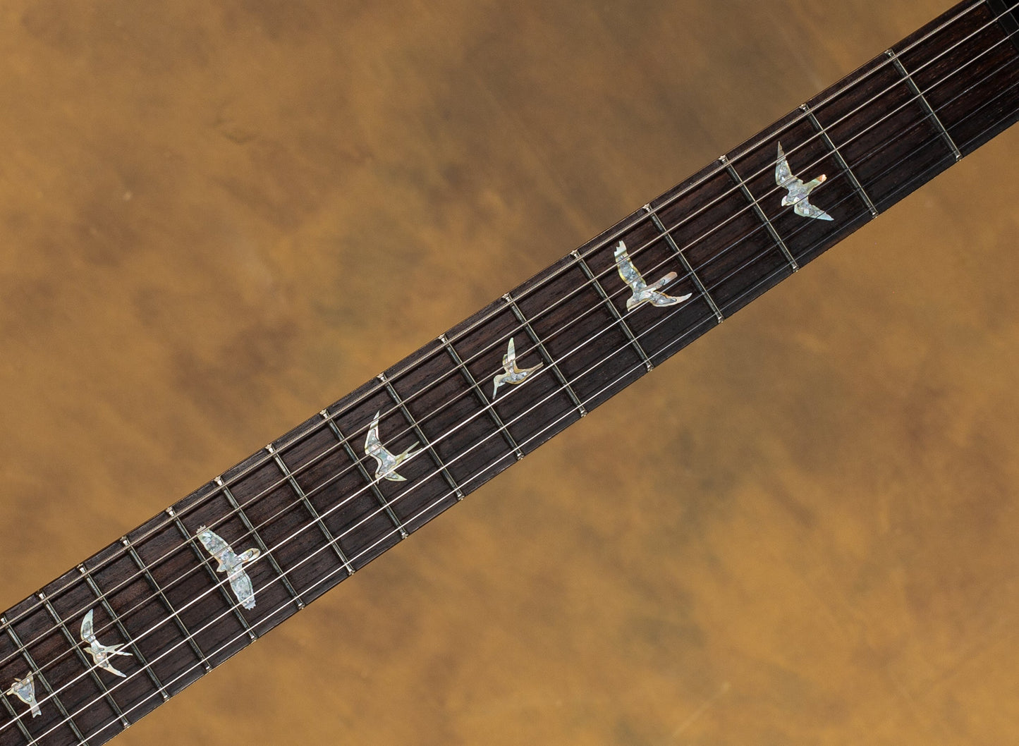 2023 PRS Wood Library Special Semi Hollow Angry Larry 10 Top Brazilian
