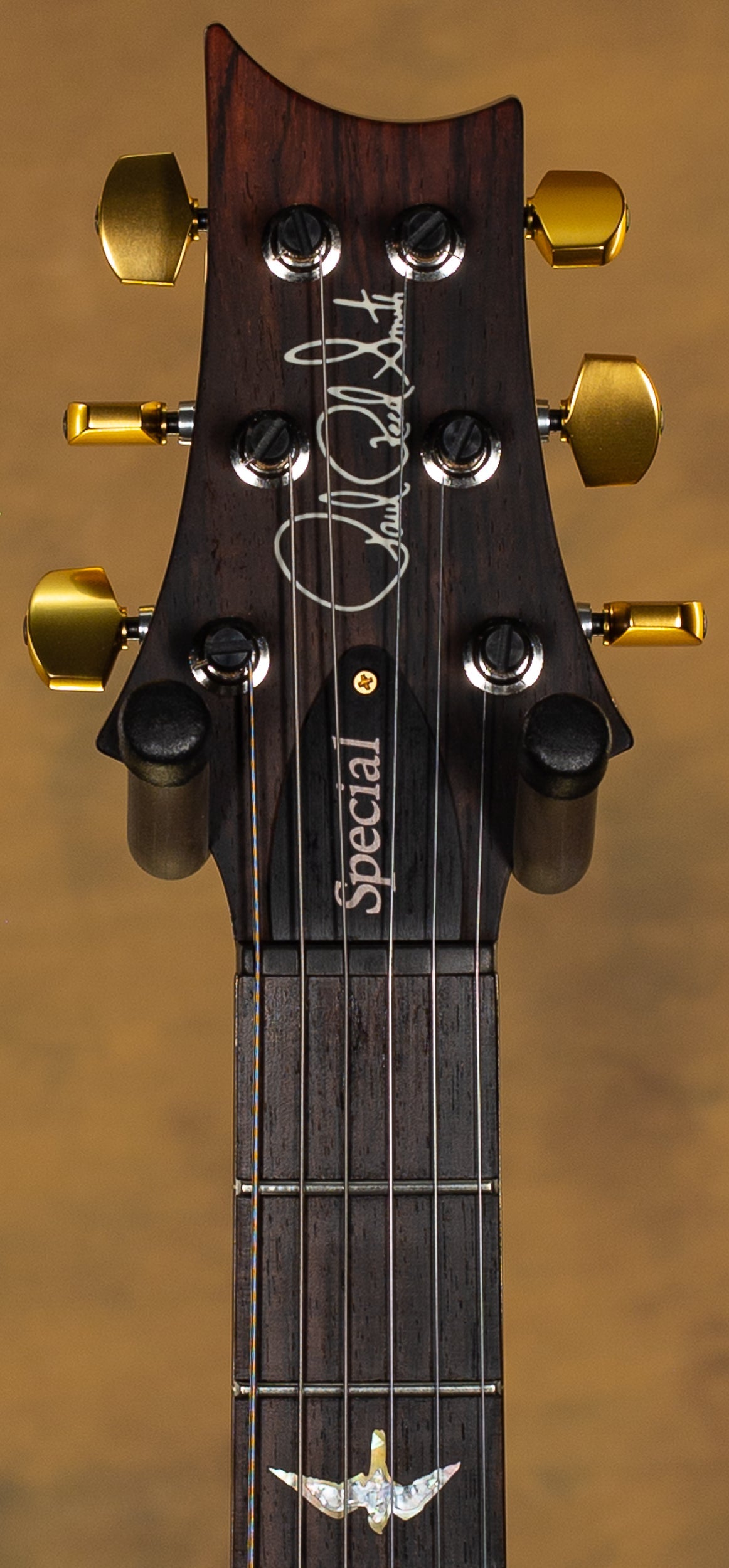 2023 PRS Wood Library Special Semi Hollow Angry Larry 10 Top Brazilian