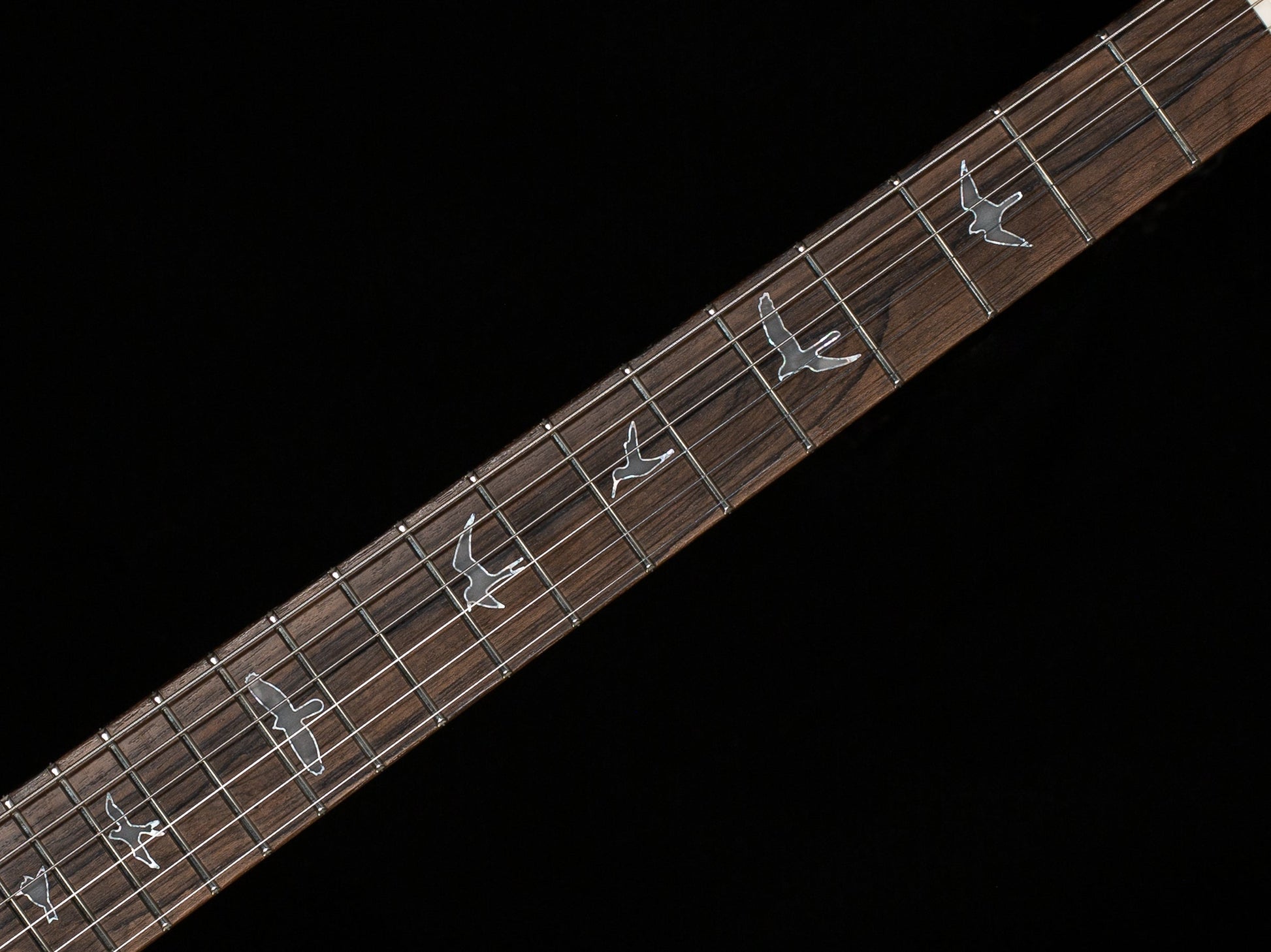 PRS Private Stock 11017 Modern Eagle V Whale Blue Glow (682)