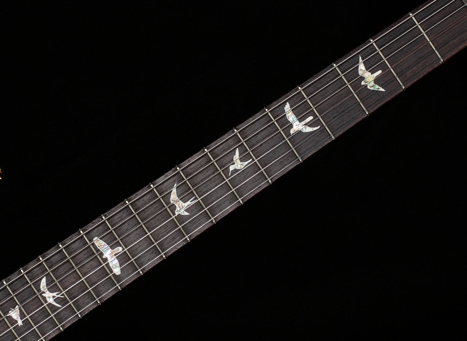 PRS Studio 22 Carroll Blue 10 top (018)